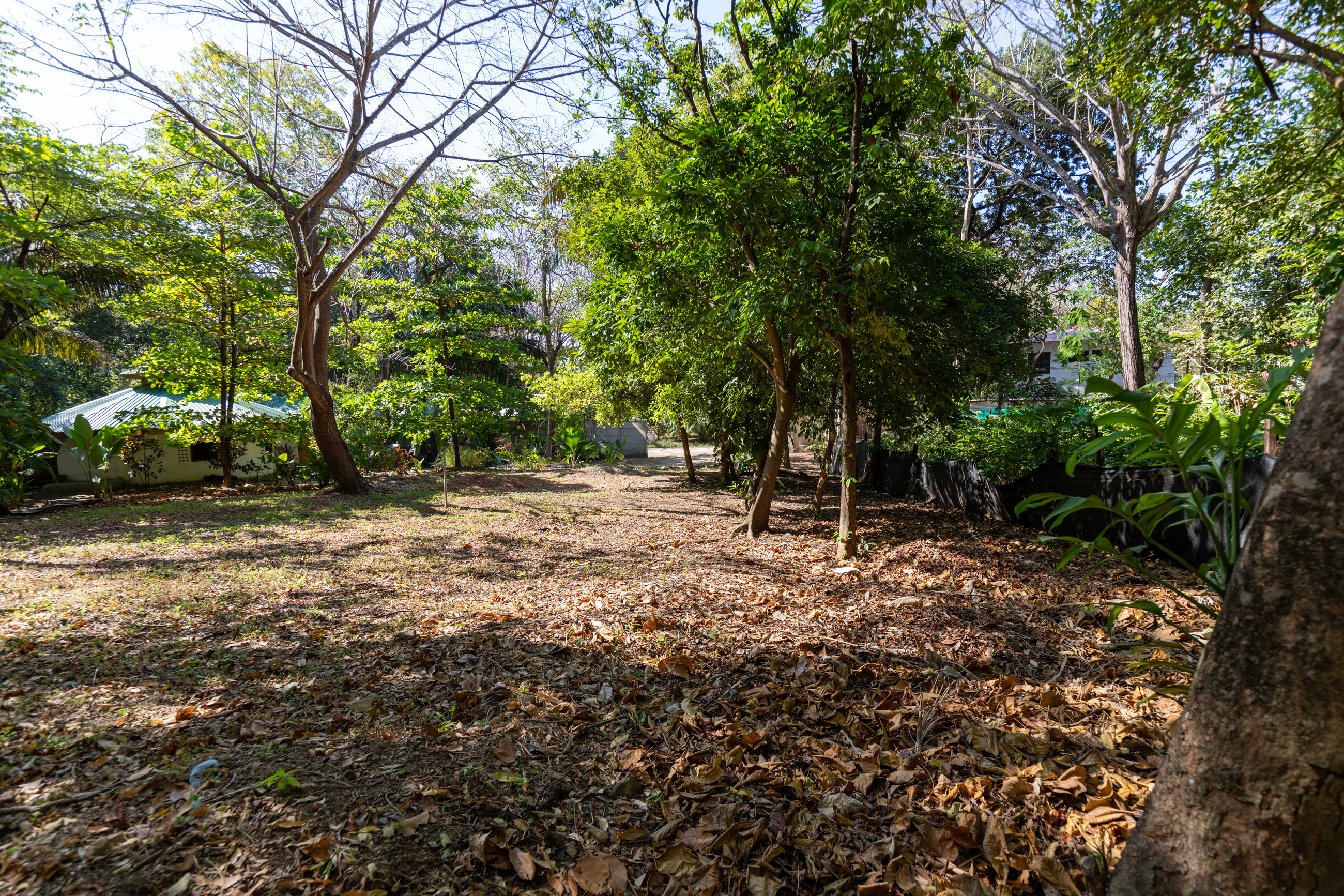 0 bed Land For Sale in Nosara, Guanacaste - thumb 29