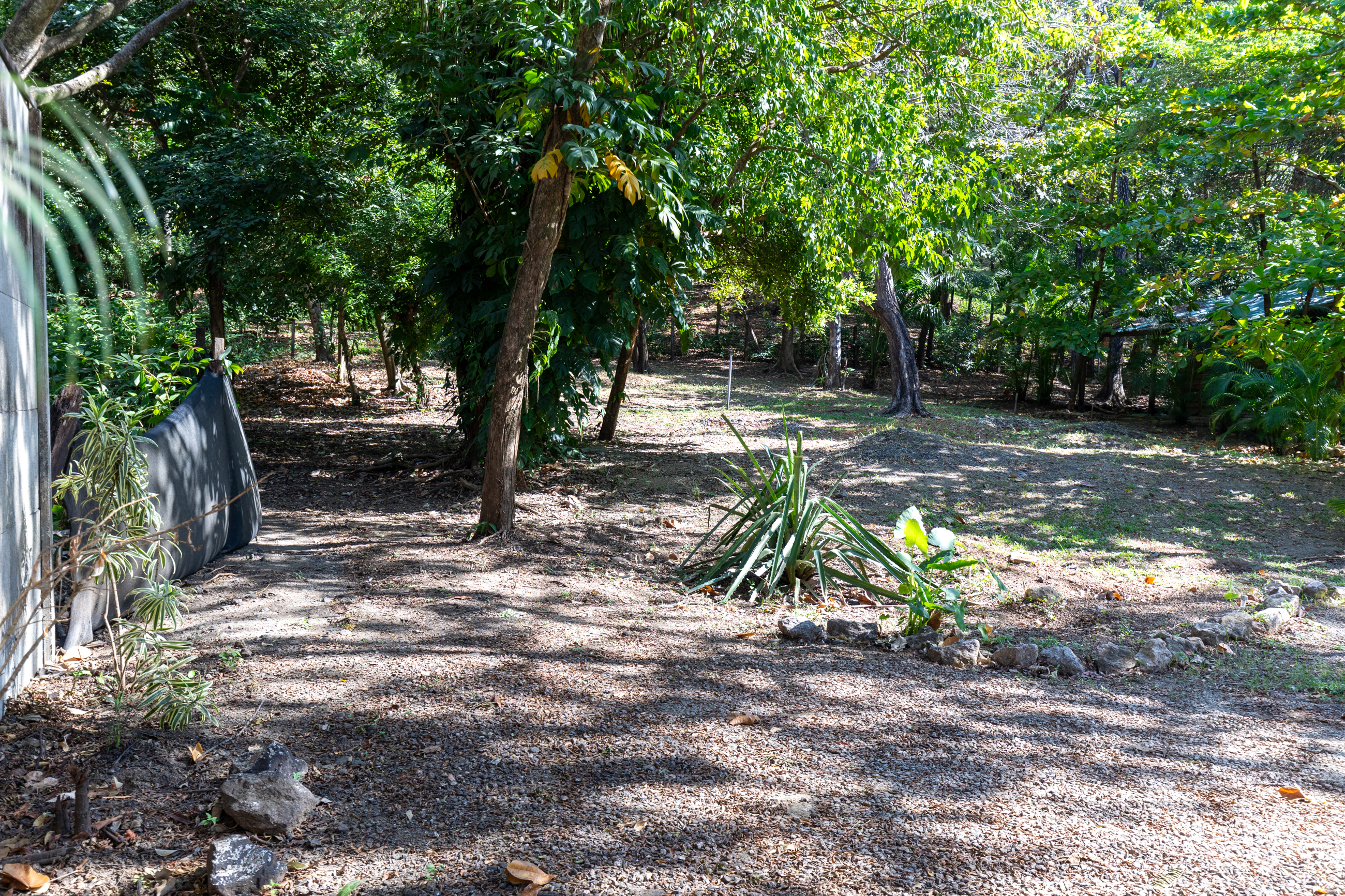 0 bed Land For Sale in Nosara, Guanacaste - thumb 15