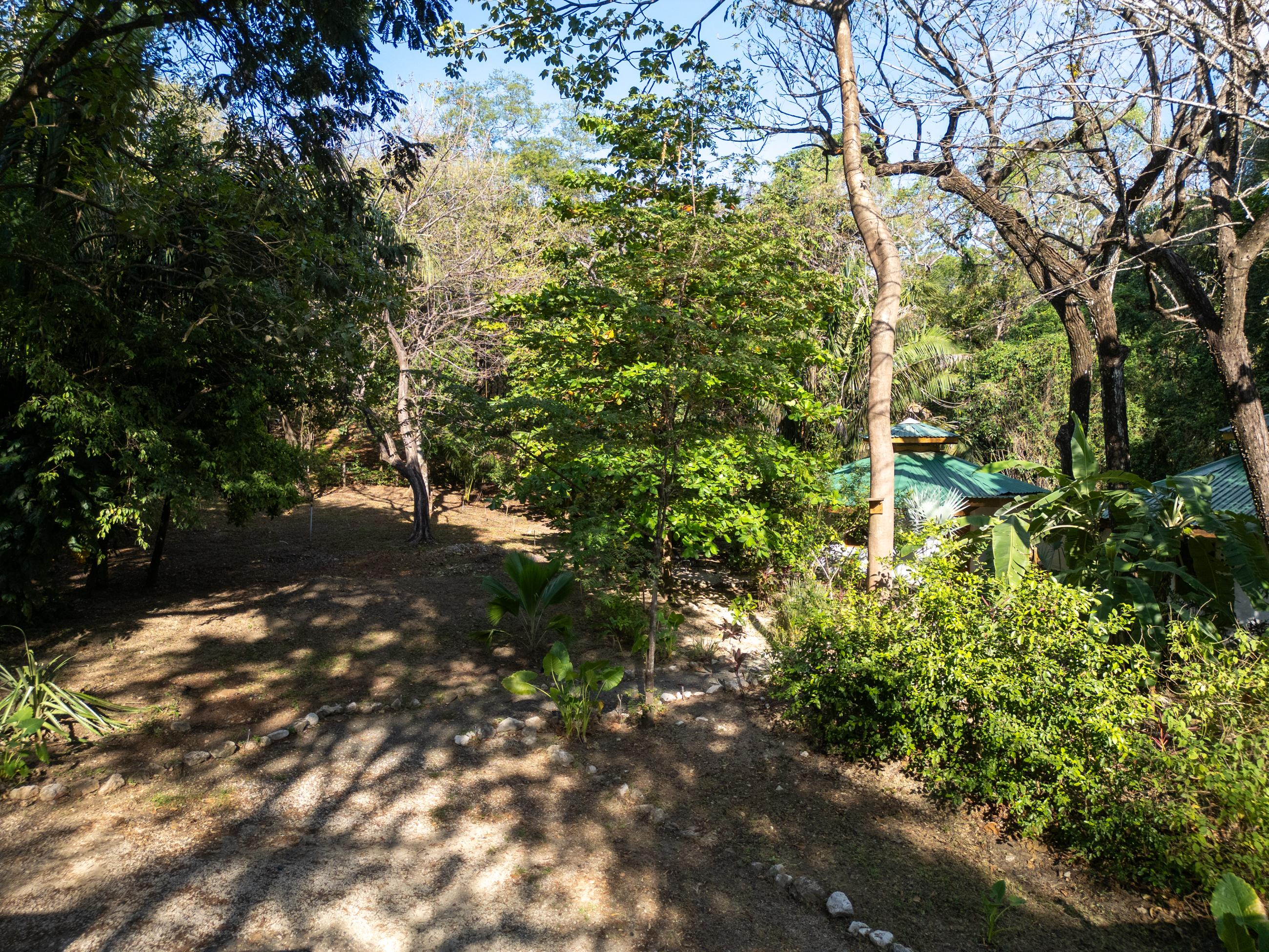 0 bed Land For Sale in Nosara, Guanacaste - thumb 3
