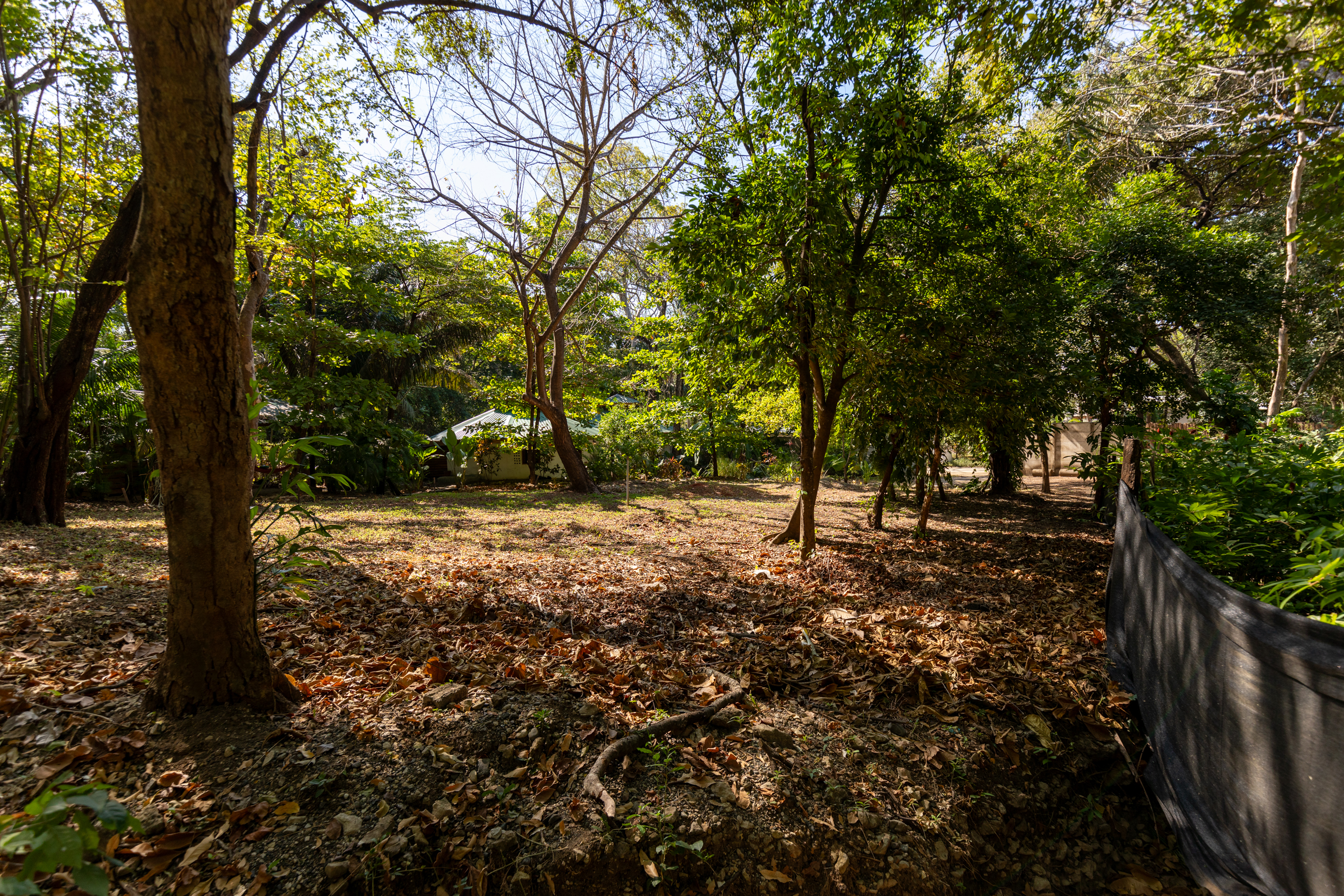 0 bed Land For Sale in Nosara, Guanacaste - thumb 27