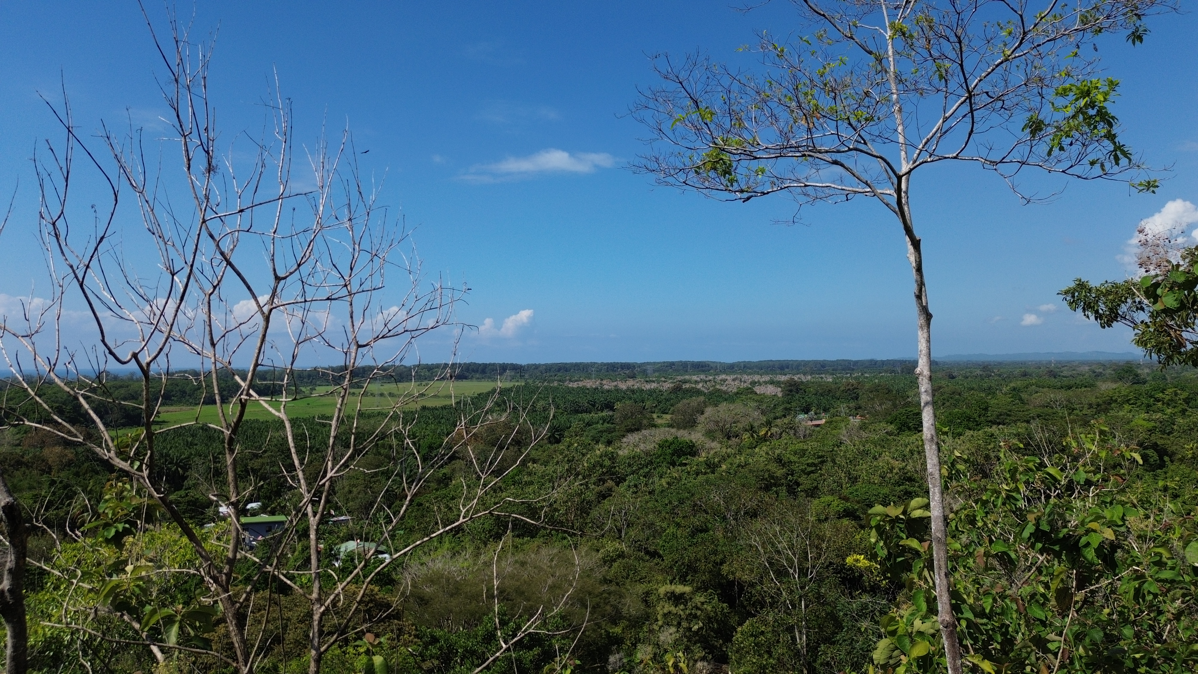 1 bed Single Family Homes For Sale in Matapalo, Puntarenas - thumb 6