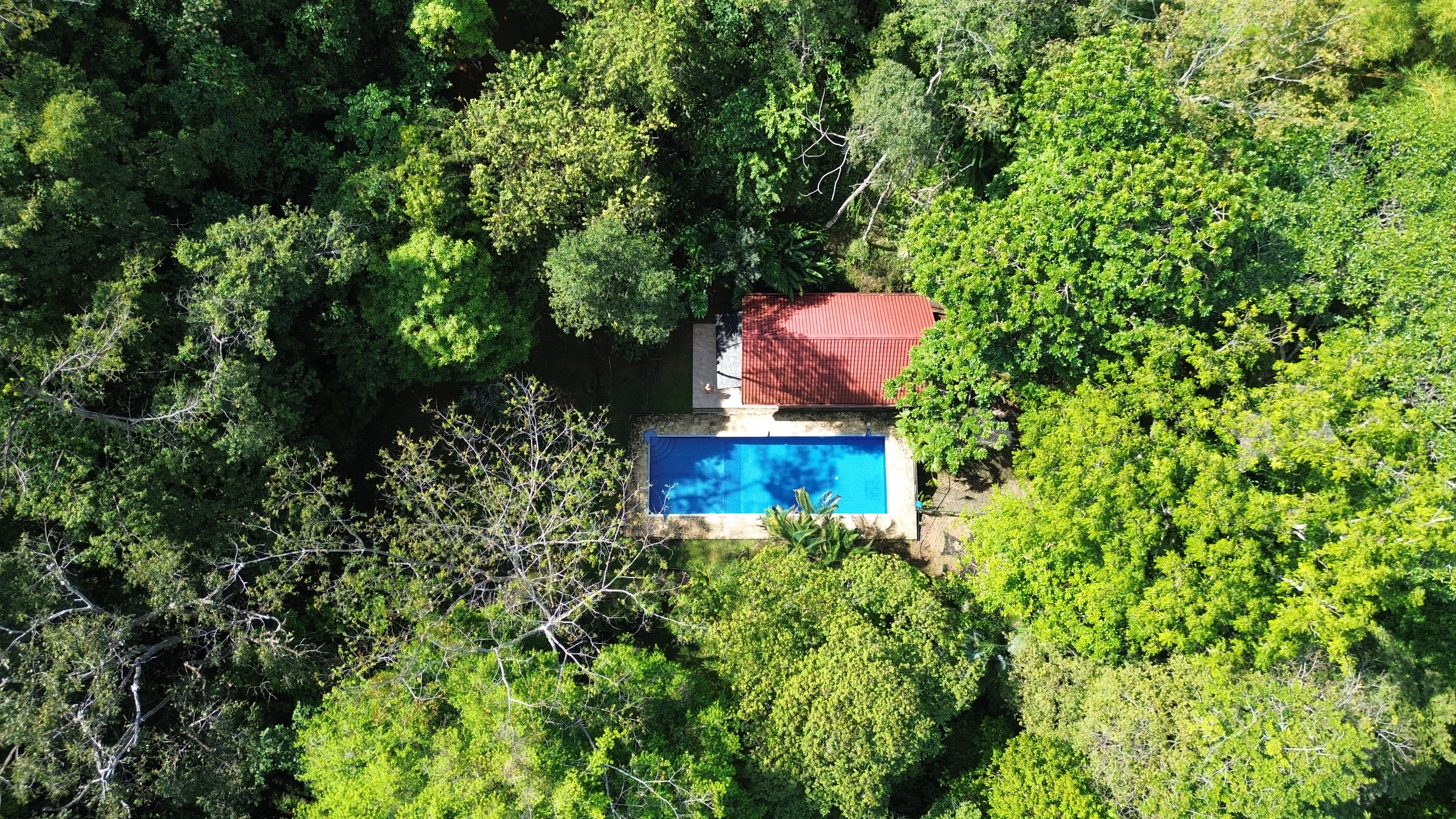 1 bed Single Family Homes For Sale in Matapalo, Puntarenas - thumb 1