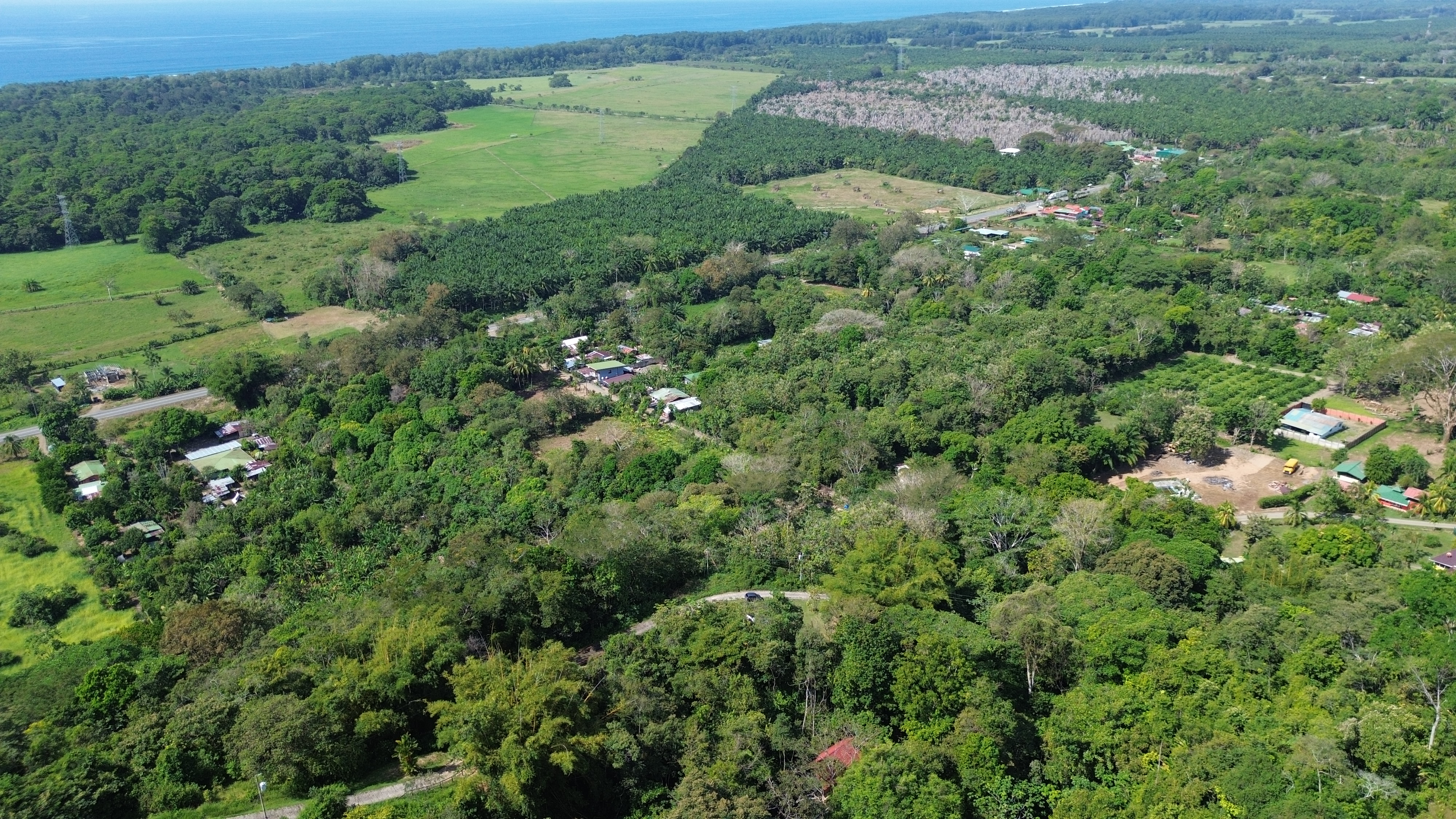 1 bed Single Family Homes For Sale in Matapalo, Puntarenas - thumb 4