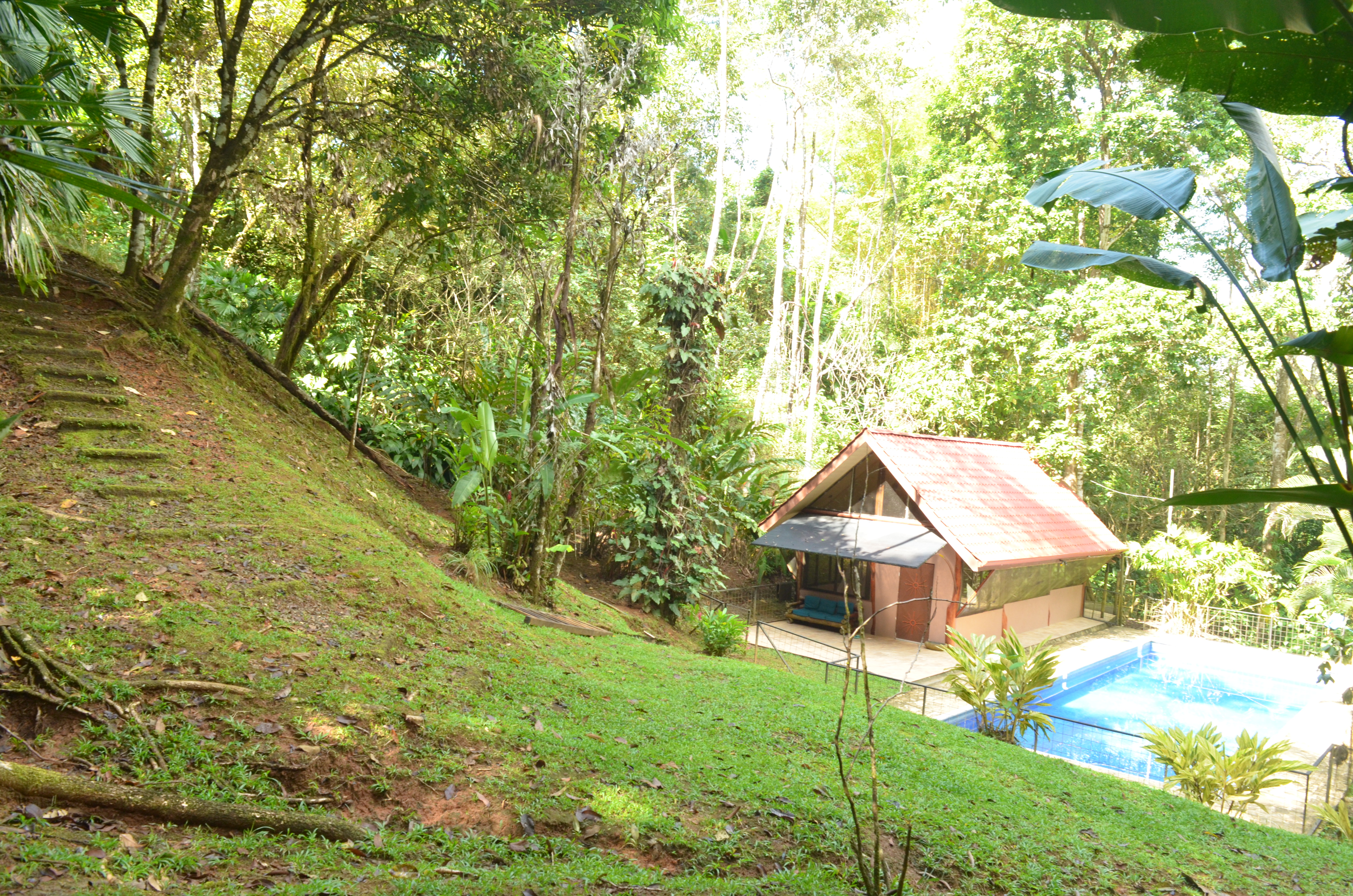 1 bed Single Family Homes For Sale in Matapalo, Puntarenas - thumb 27