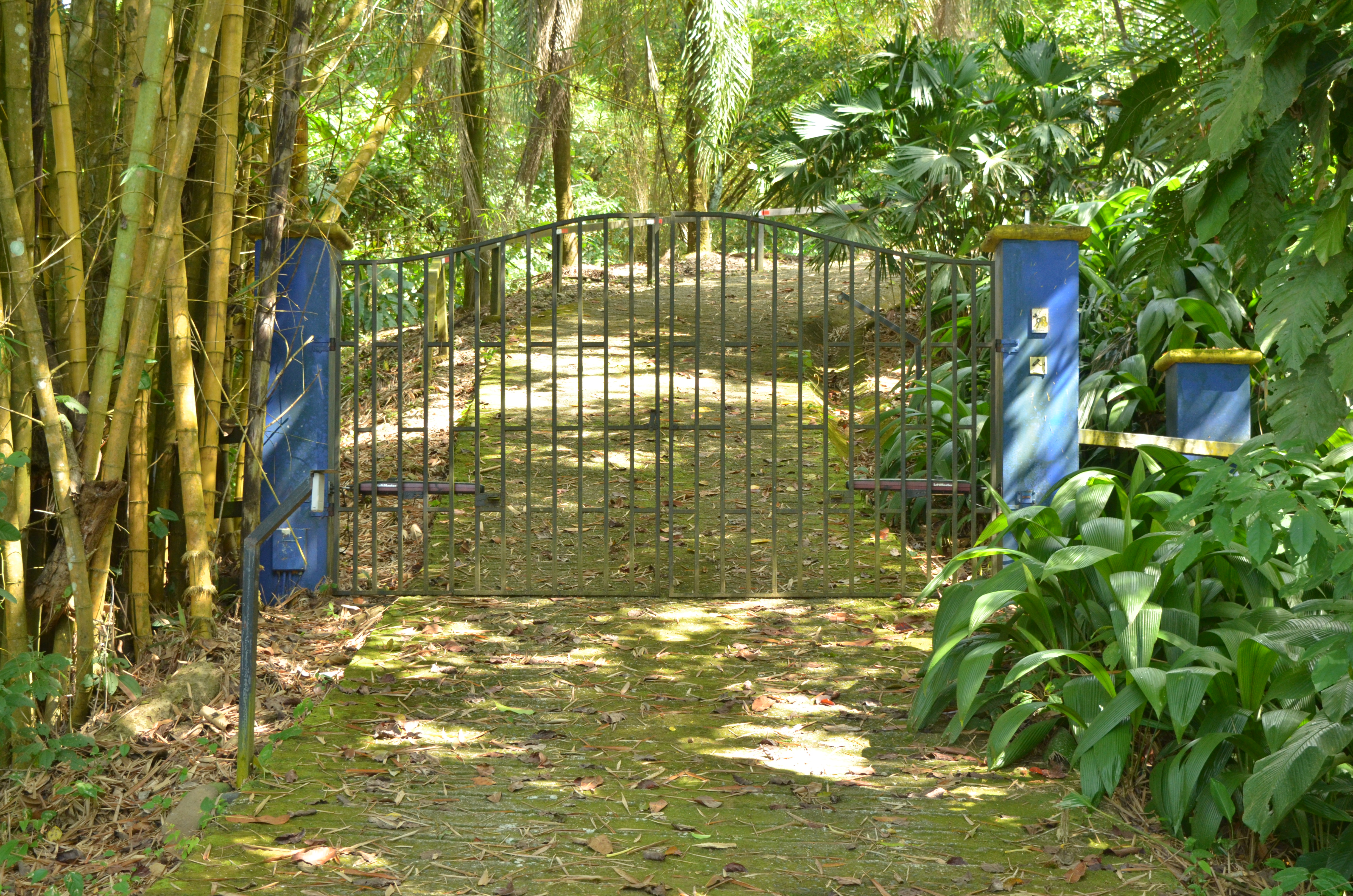 1 bed Single Family Homes For Sale in Matapalo, Puntarenas - thumb 29