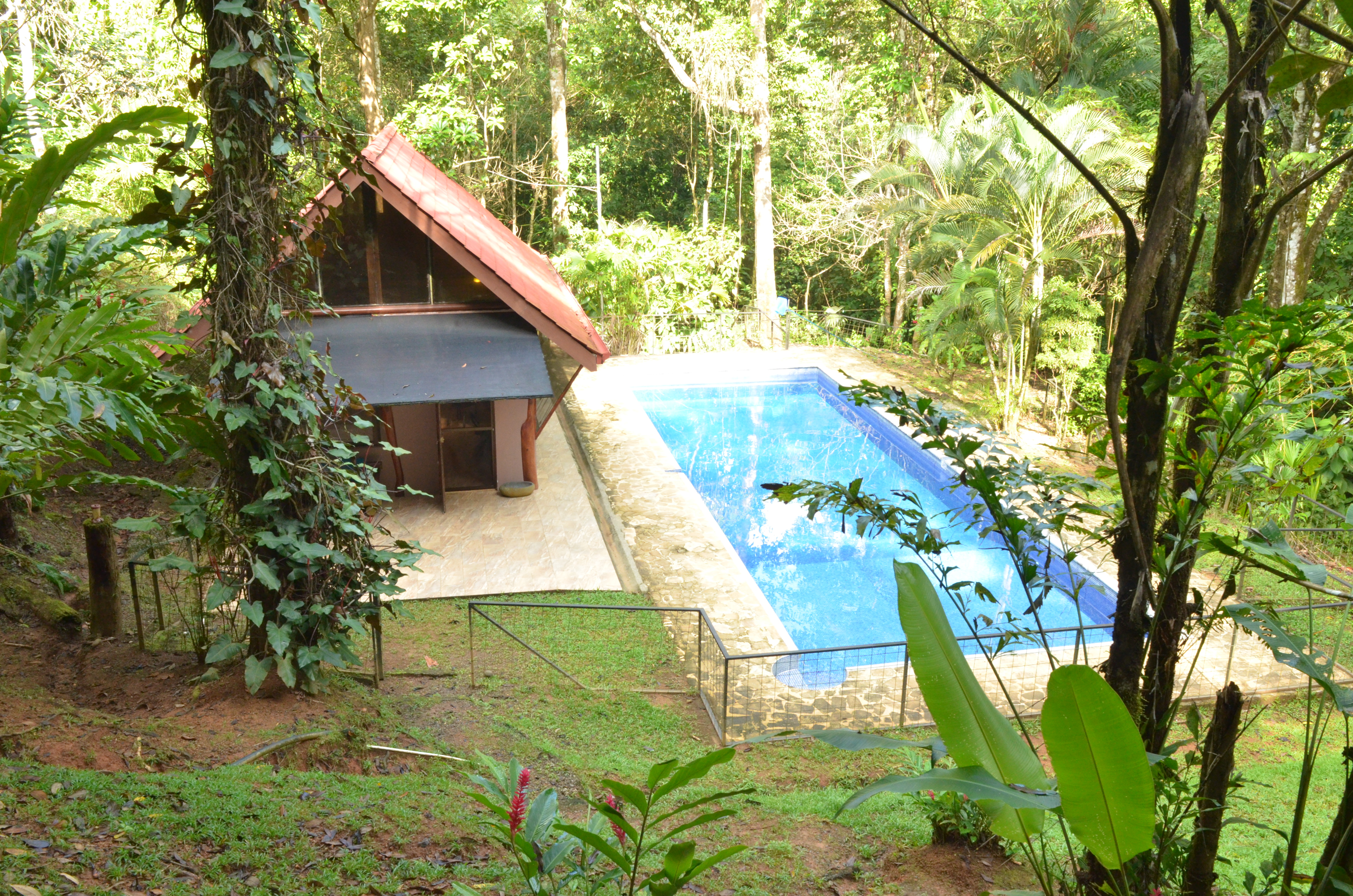 1 bed Single Family Homes For Sale in Matapalo, Puntarenas - thumb 12