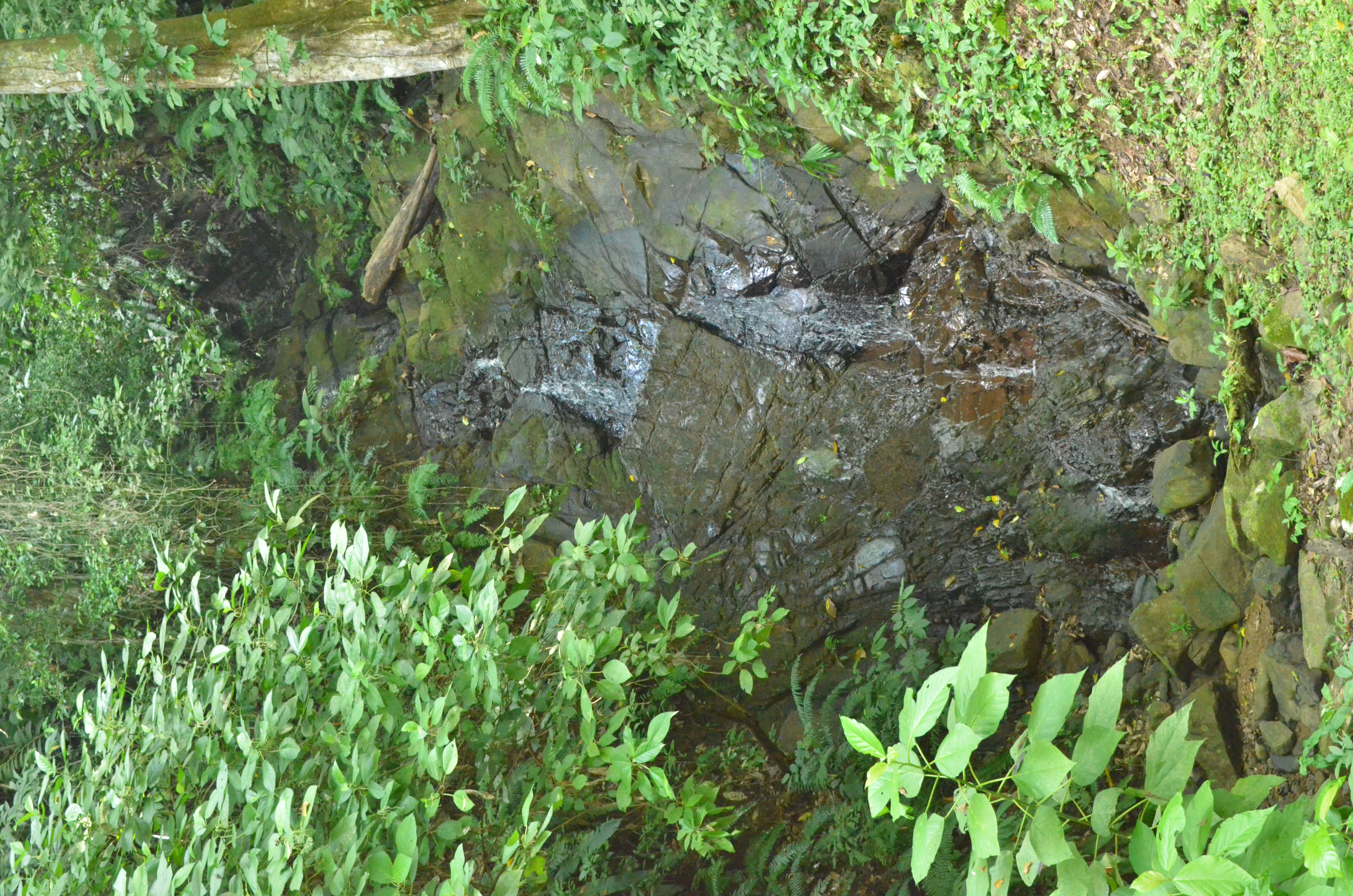 1 bed Single Family Homes For Sale in Matapalo, Puntarenas - thumb 25