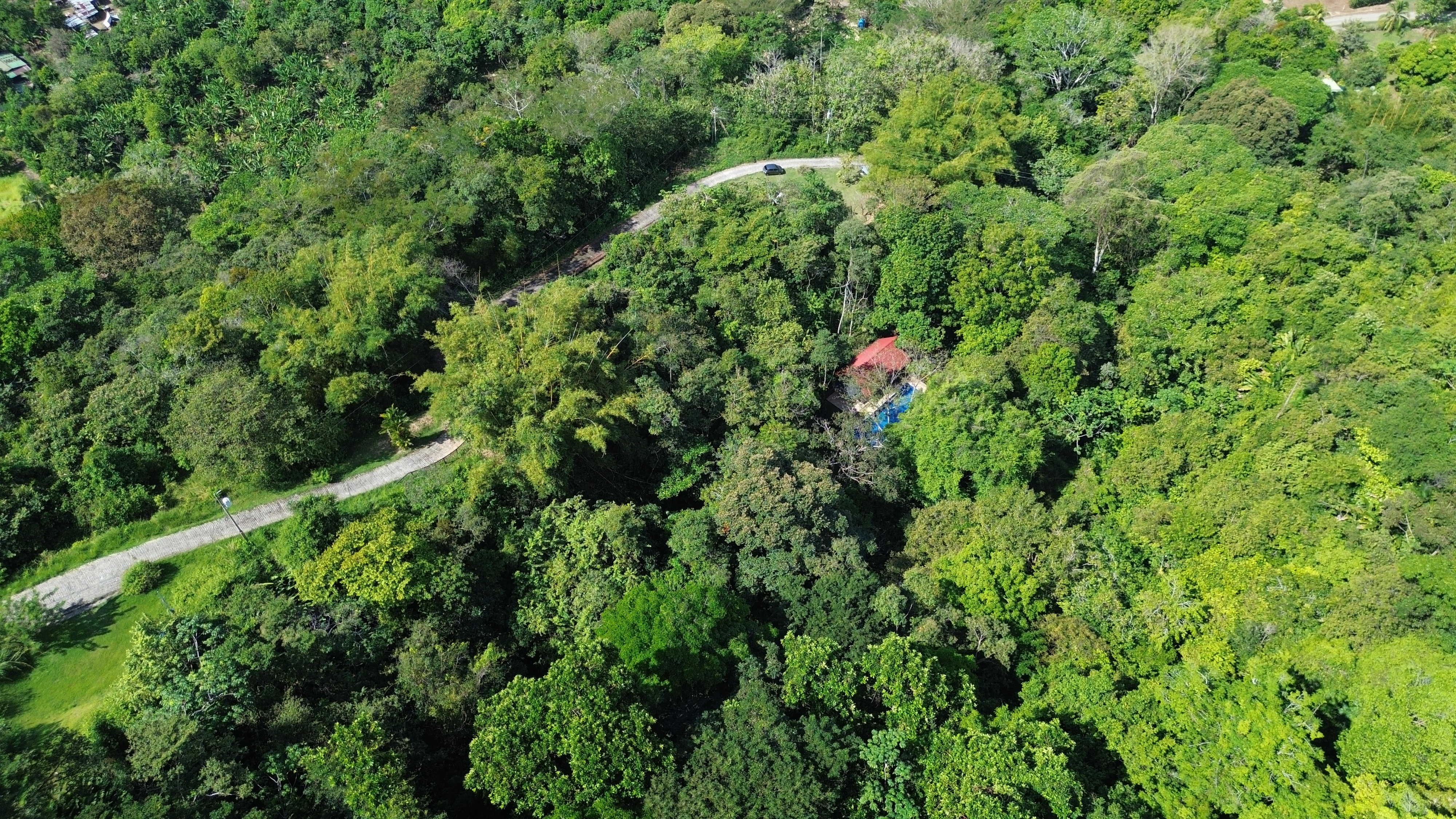 1 bed Single Family Homes For Sale in Matapalo, Puntarenas - thumb 5