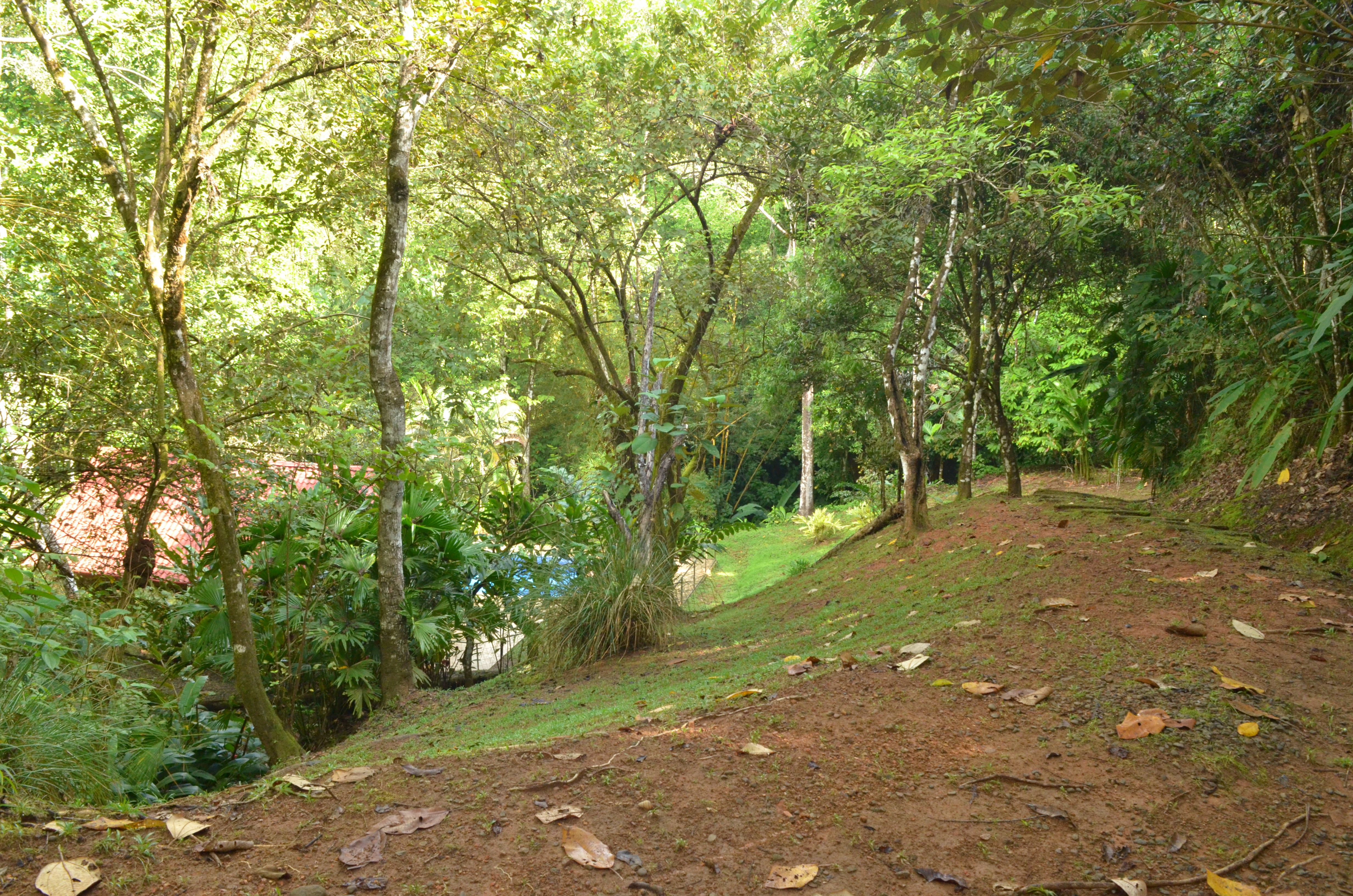 1 bed Single Family Homes For Sale in Matapalo, Puntarenas - thumb 10