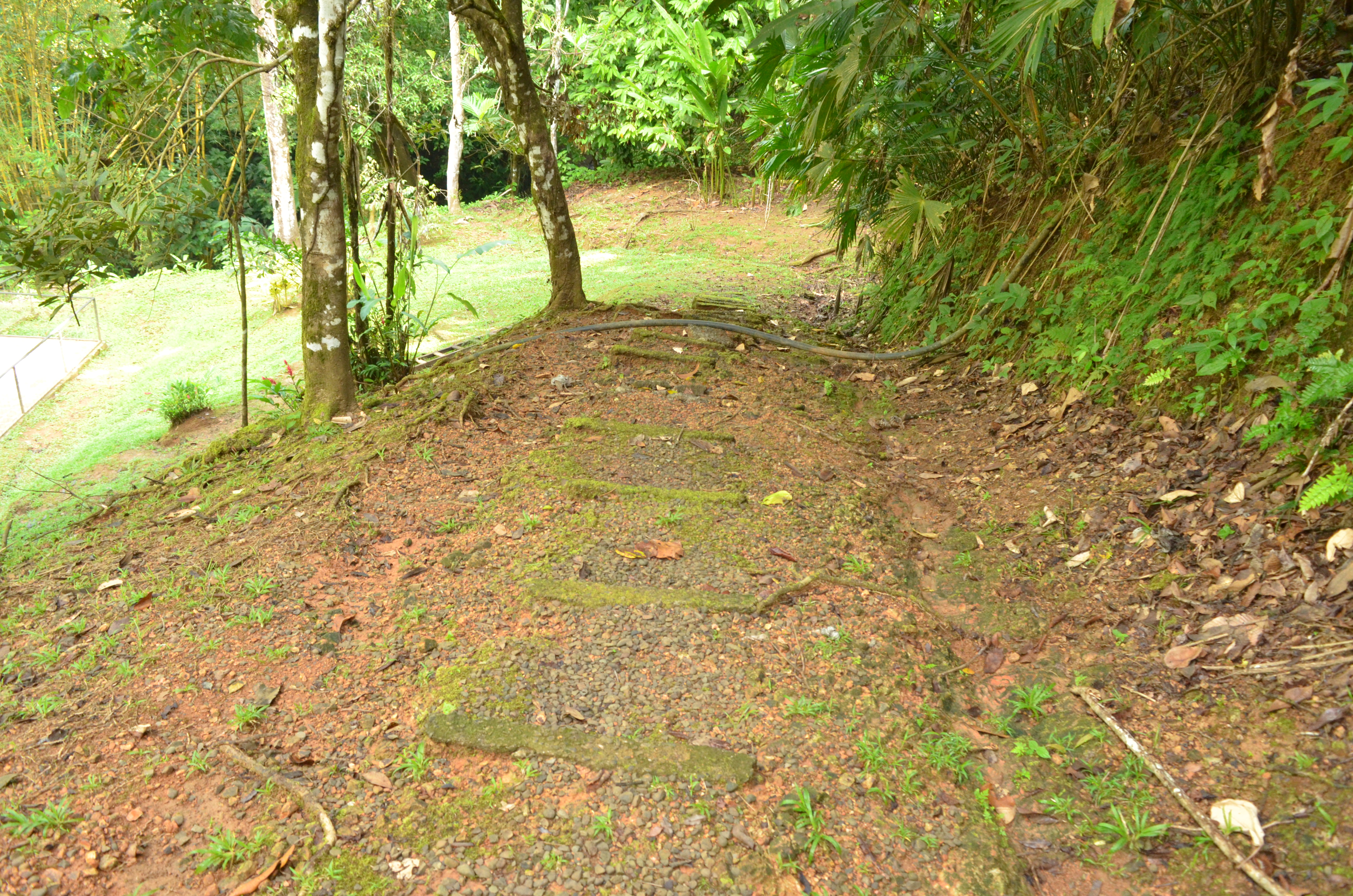 1 bed Single Family Homes For Sale in Matapalo, Puntarenas - thumb 11