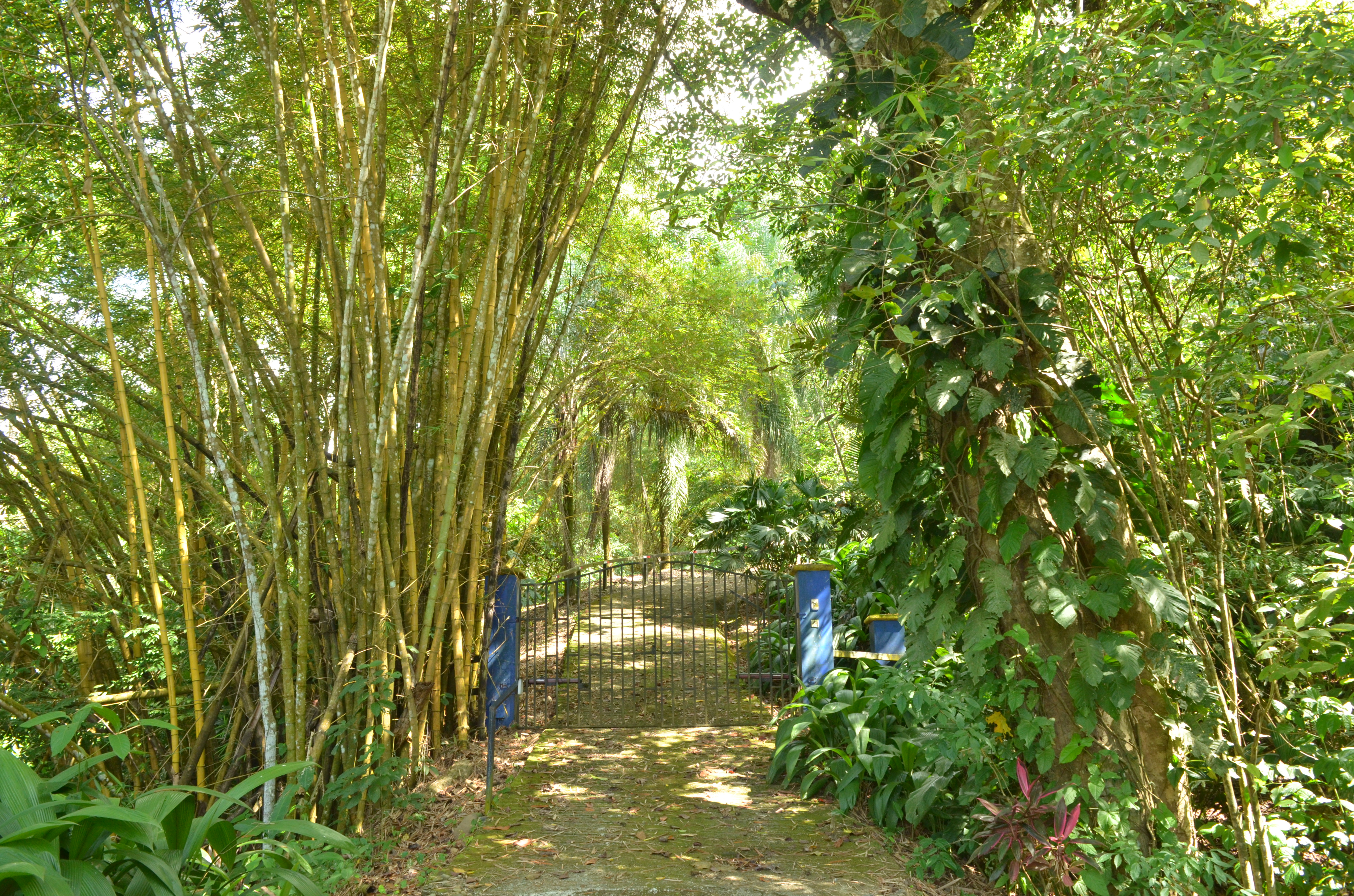 1 bed Single Family Homes For Sale in Matapalo, Puntarenas - thumb 28