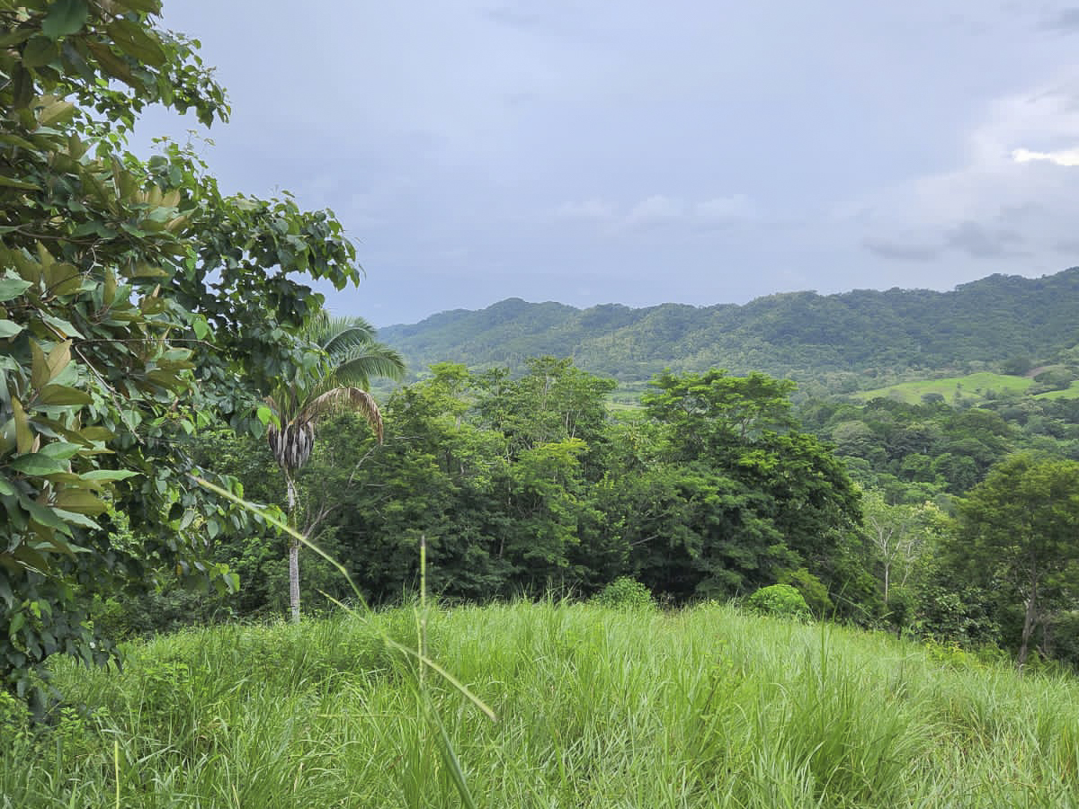 0 bed Land For Sale in PlayaCoyote, Guanacaste - thumb 4