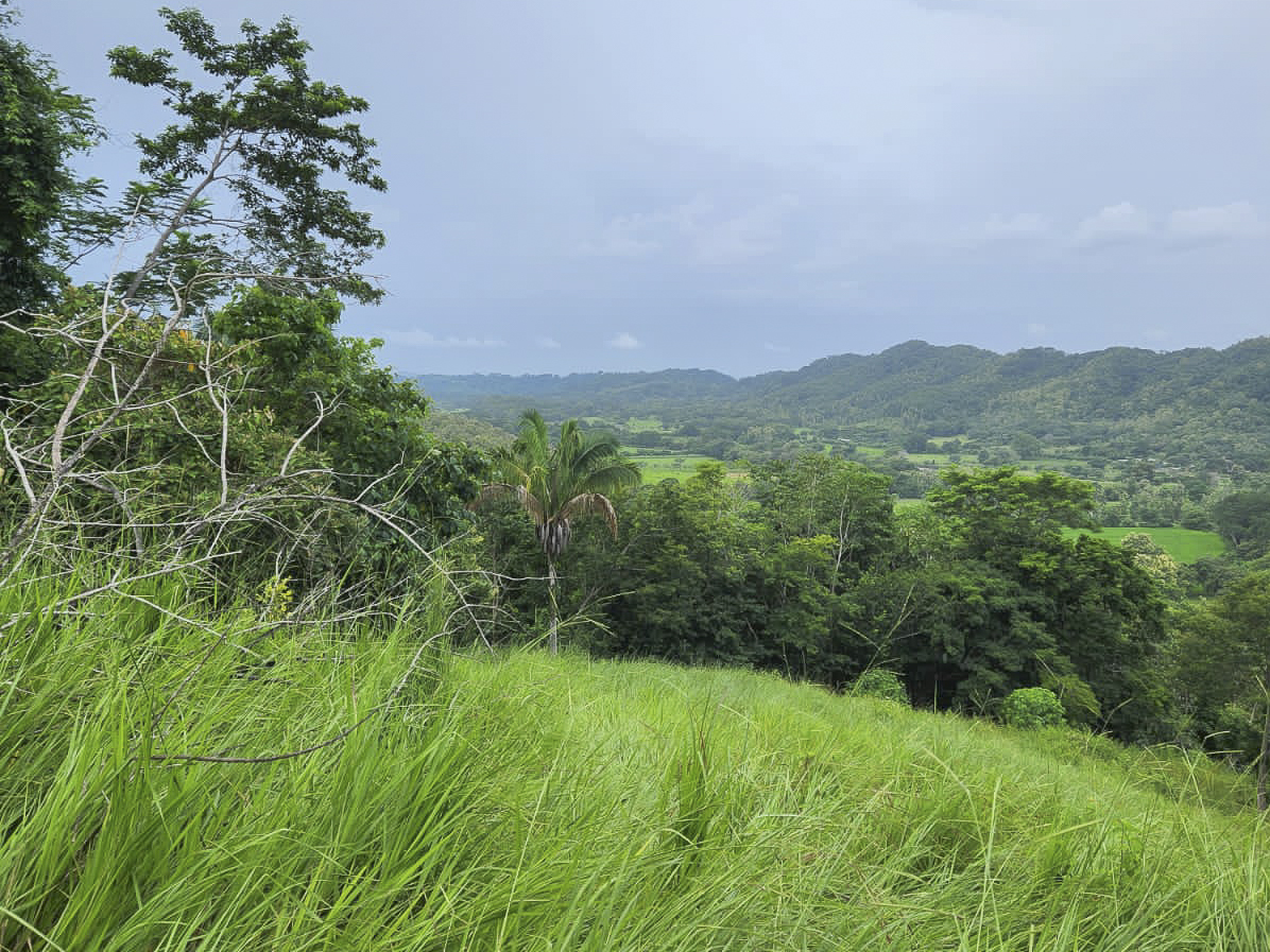 0 bed Land For Sale in PlayaCoyote, Guanacaste - thumb 2