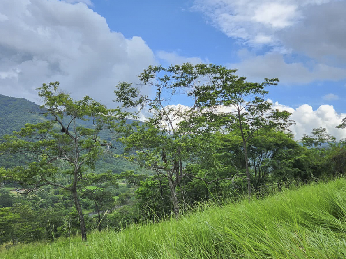 0 bed Land For Sale in PlayaCoyote, Guanacaste - thumb 1