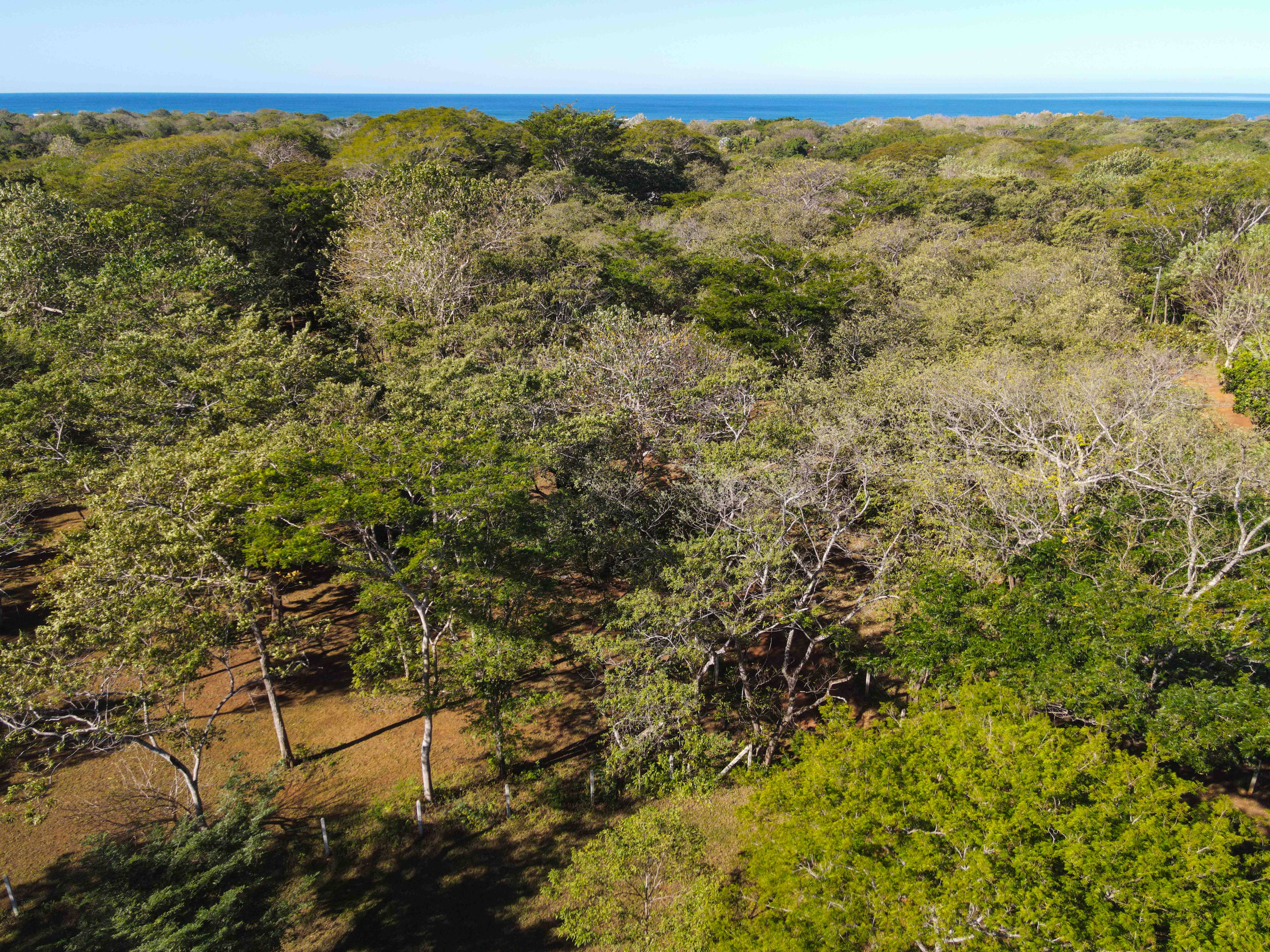 0 bed Land For Sale in Avellanas, Guanacaste - thumb 6