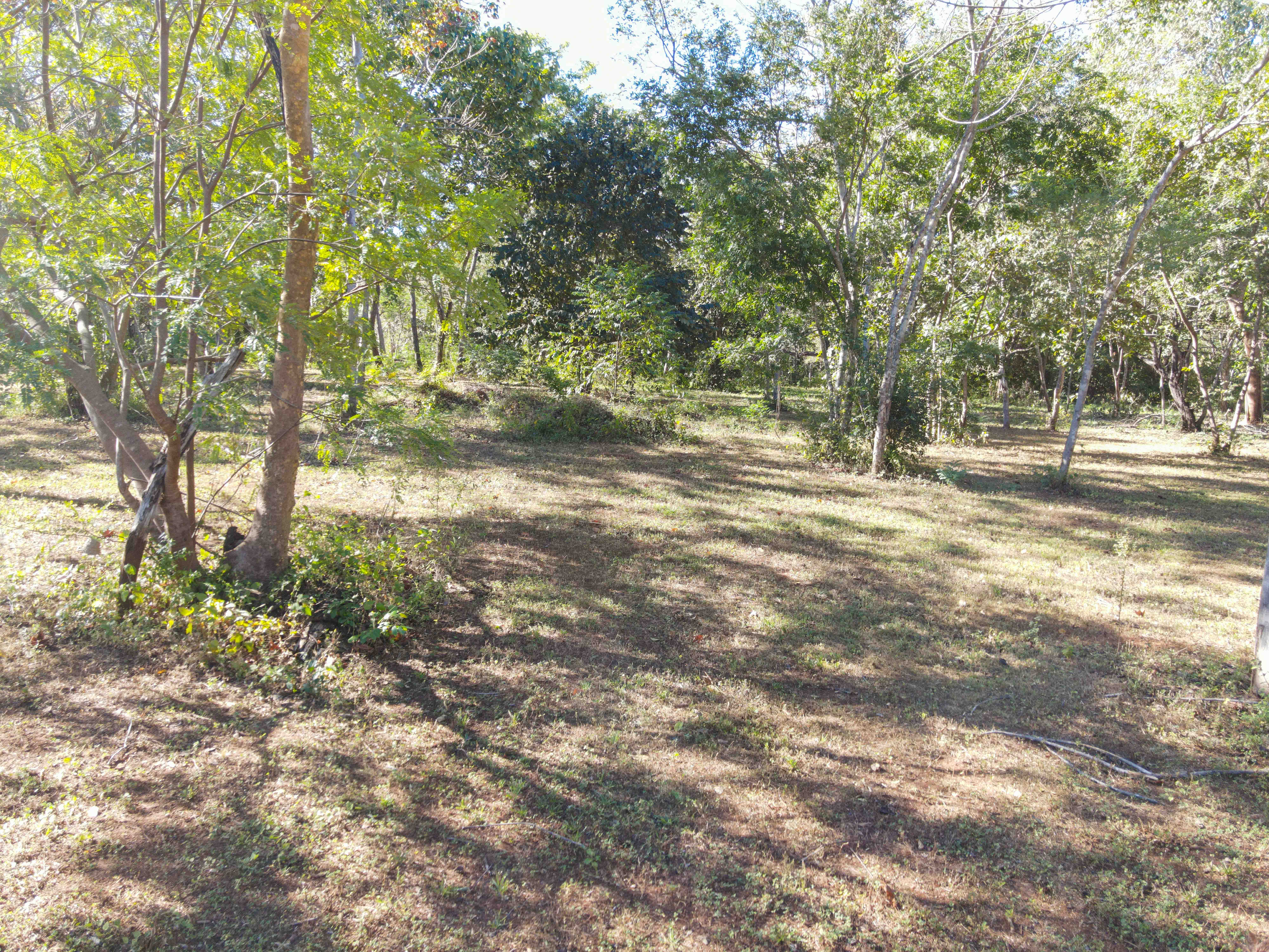 0 bed Land For Sale in Avellanas, Guanacaste - thumb 2