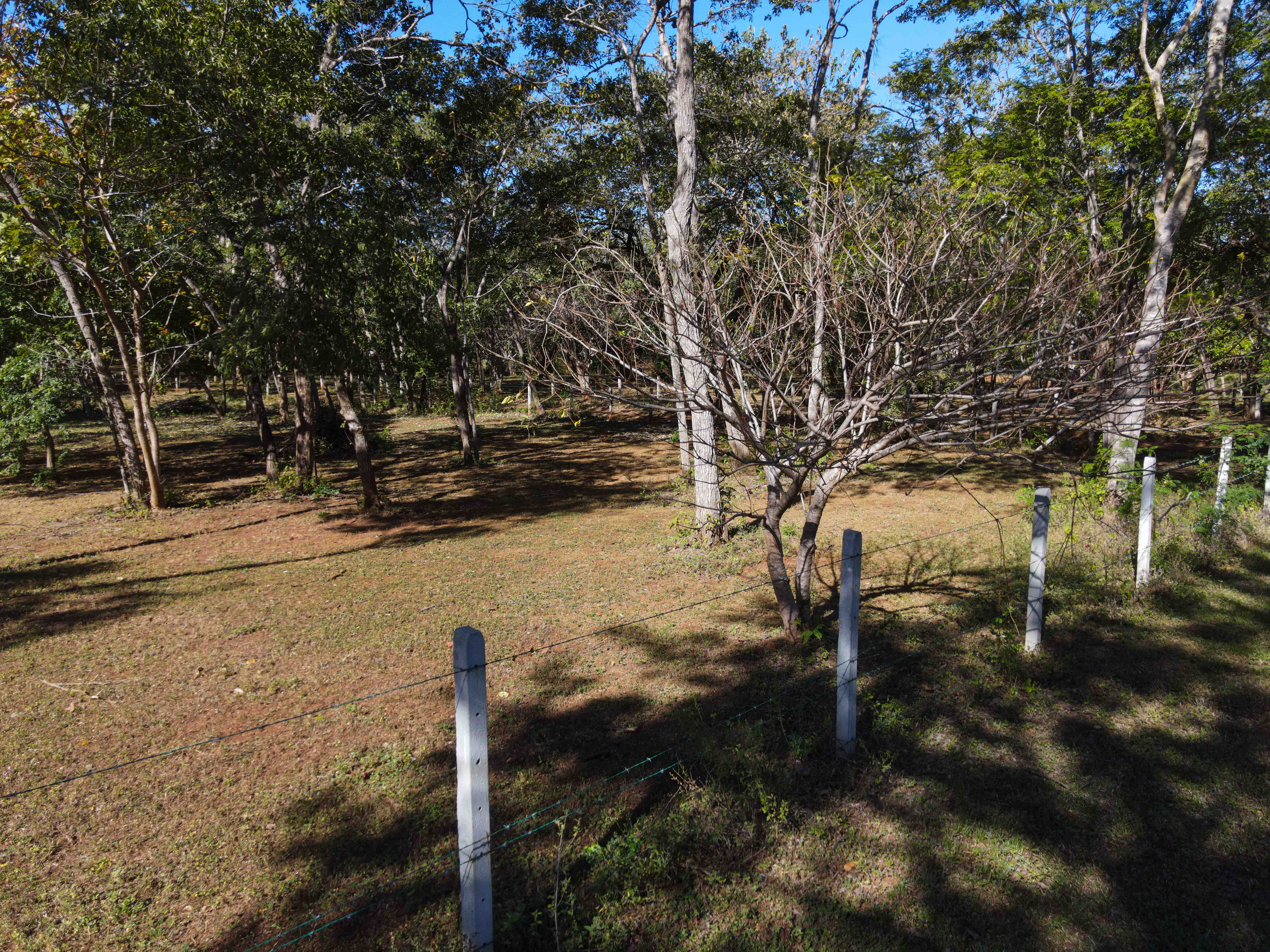 0 bed Land For Sale in Avellanas, Guanacaste - thumb 5