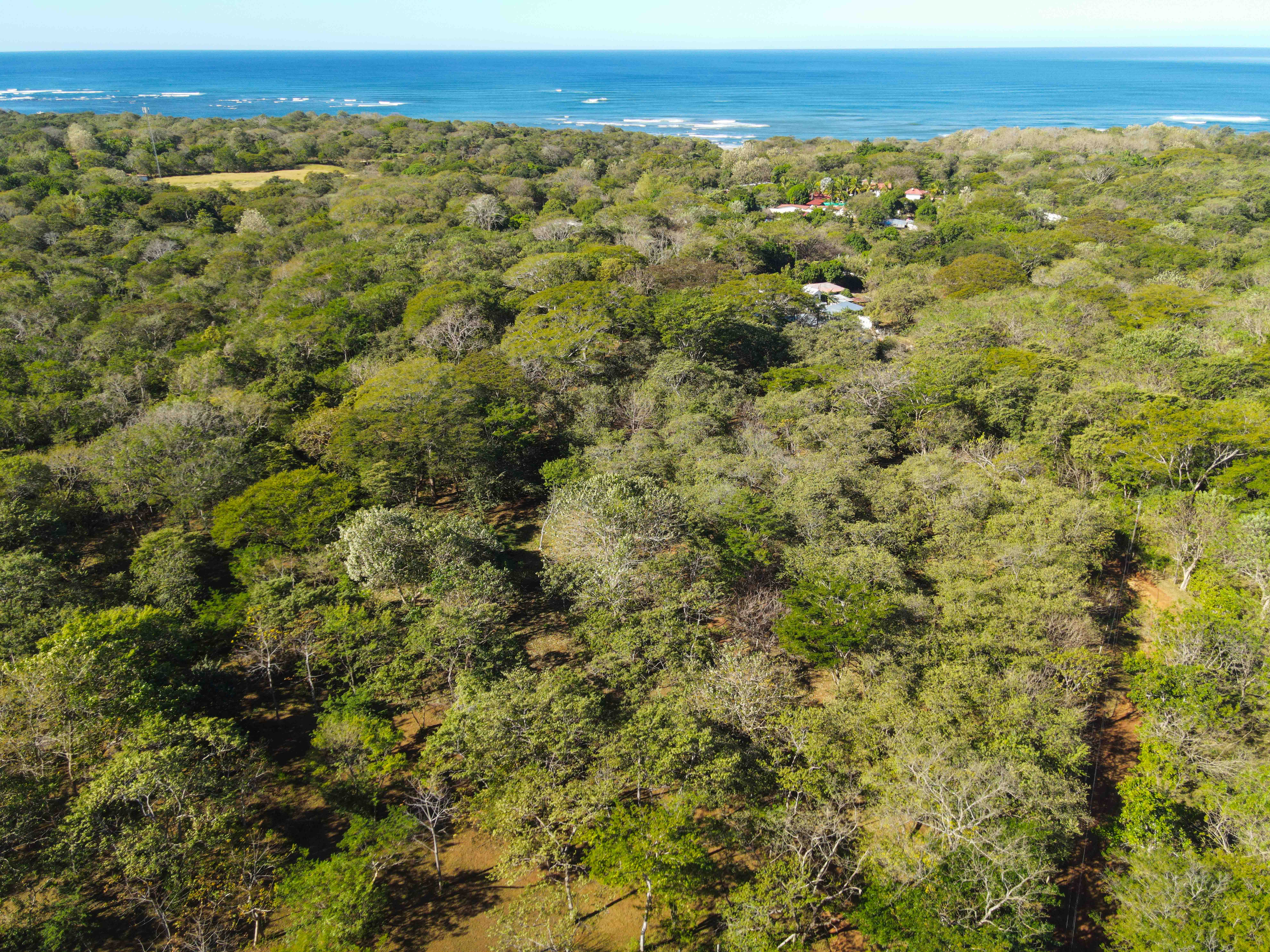 0 bed Land For Sale in Avellanas, Guanacaste - thumb 3