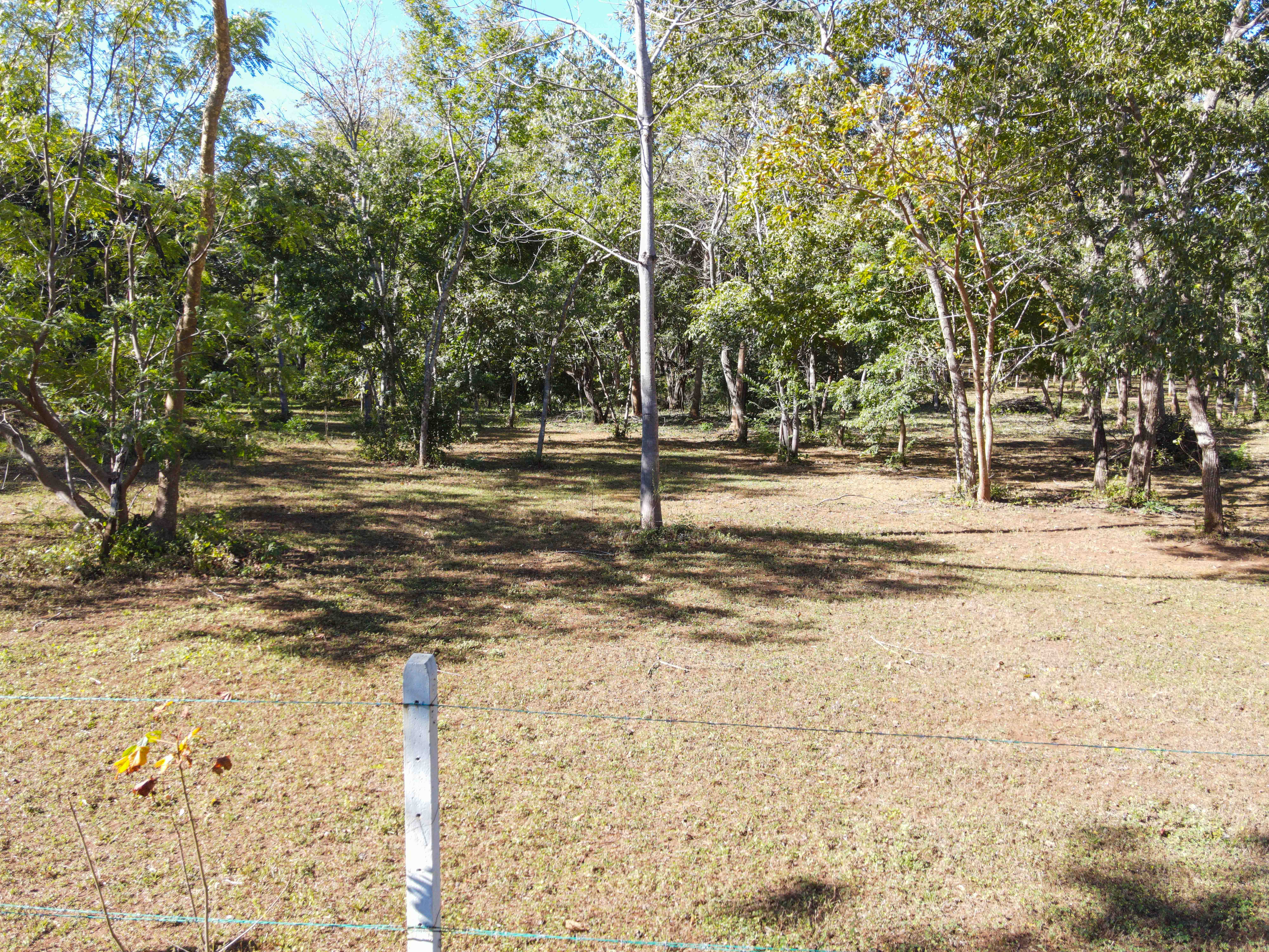 0 bed Land For Sale in Avellanas, Guanacaste - thumb 12