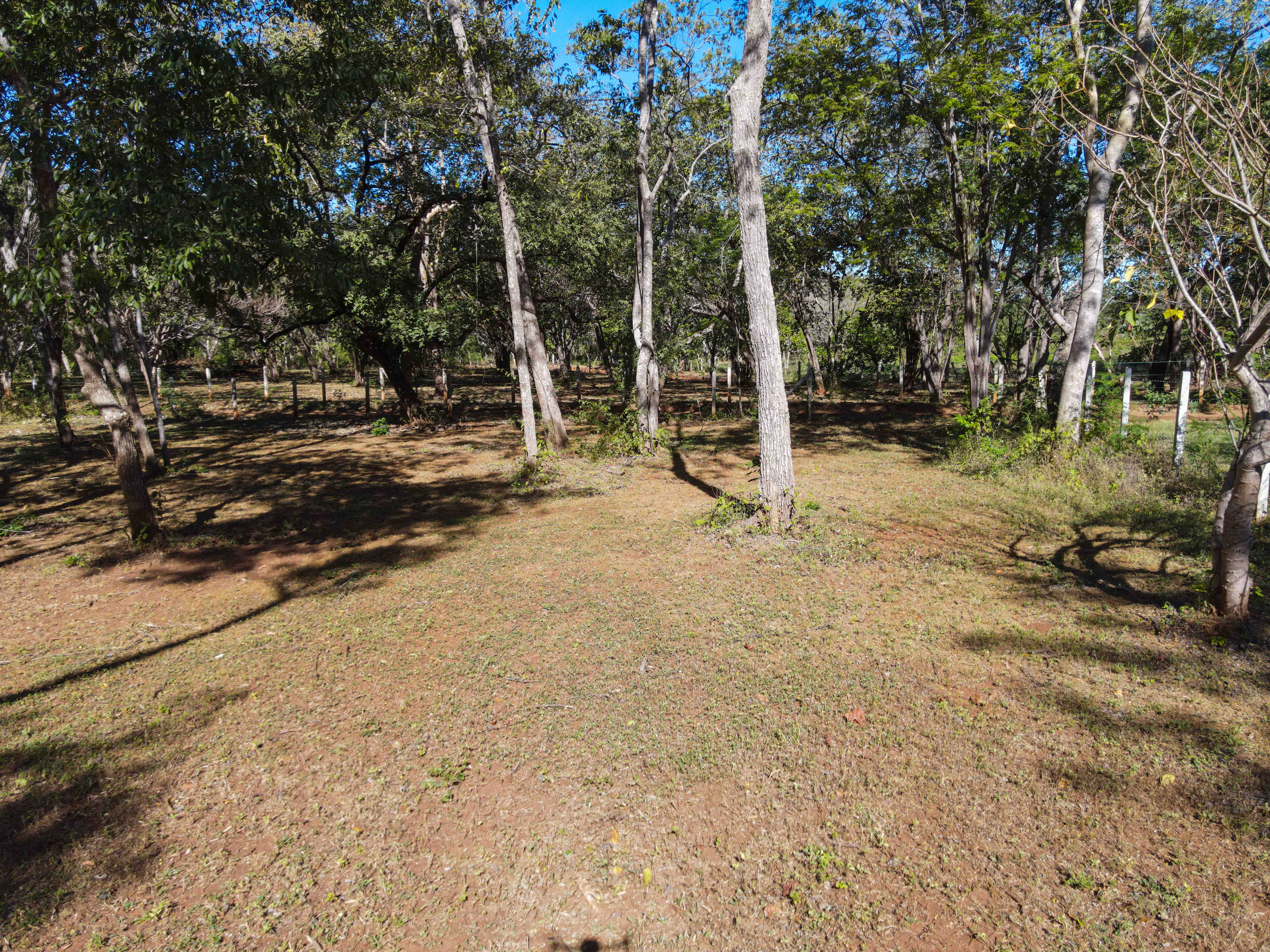 0 bed Land For Sale in Avellanas, Guanacaste - thumb 11