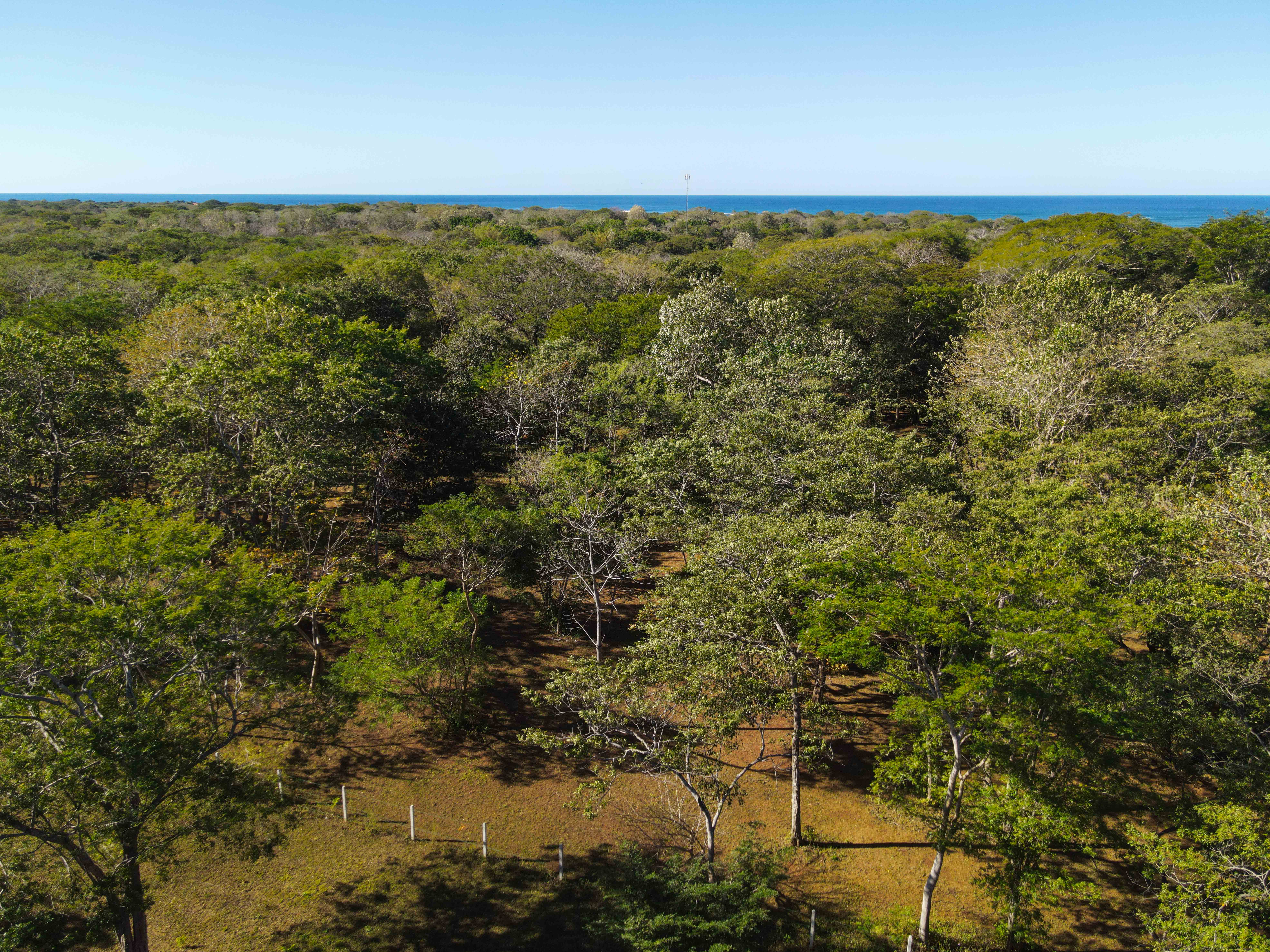 0 bed Land For Sale in Avellanas, Guanacaste - thumb 1