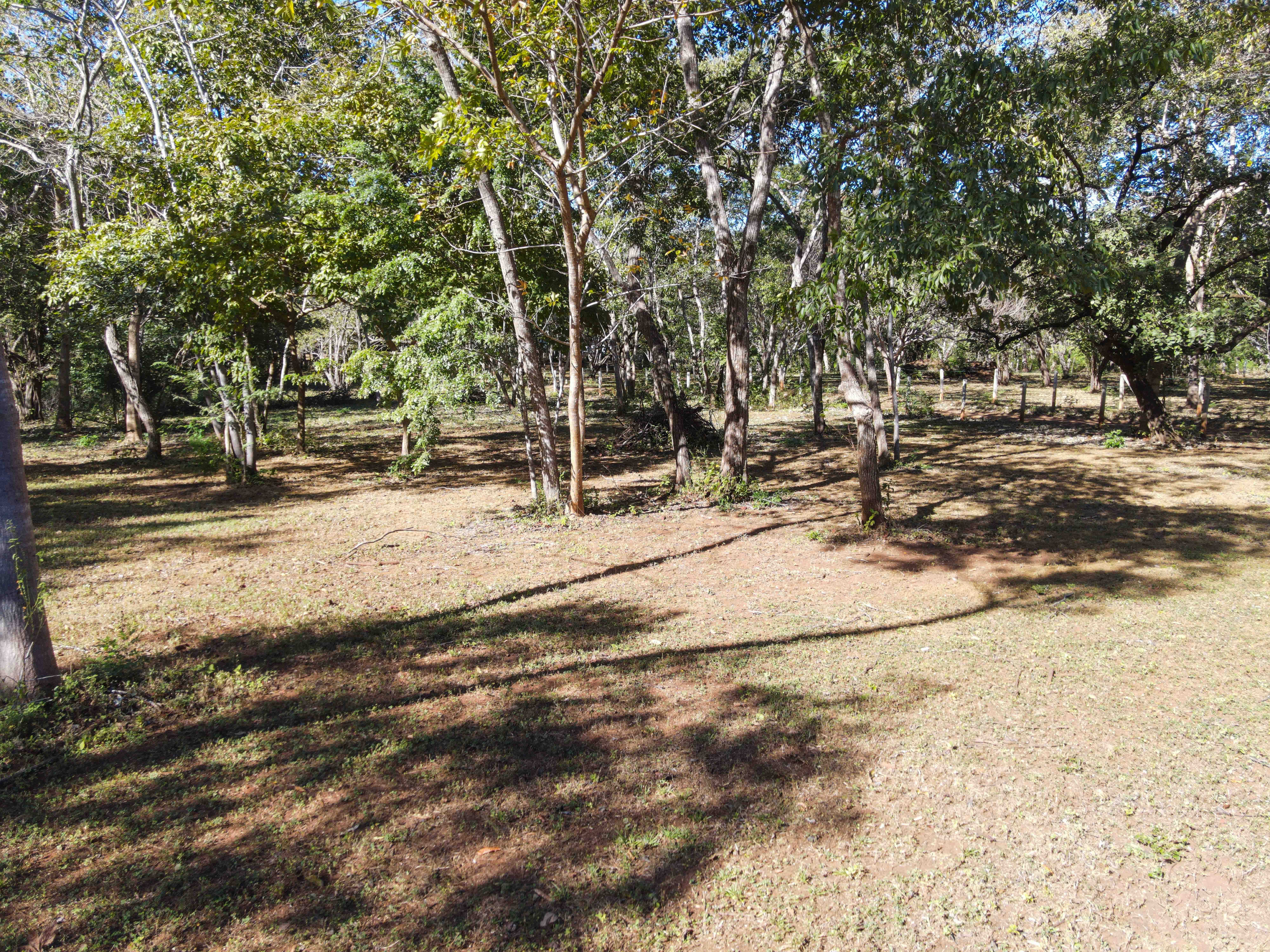 0 bed Land For Sale in Avellanas, Guanacaste - thumb 4