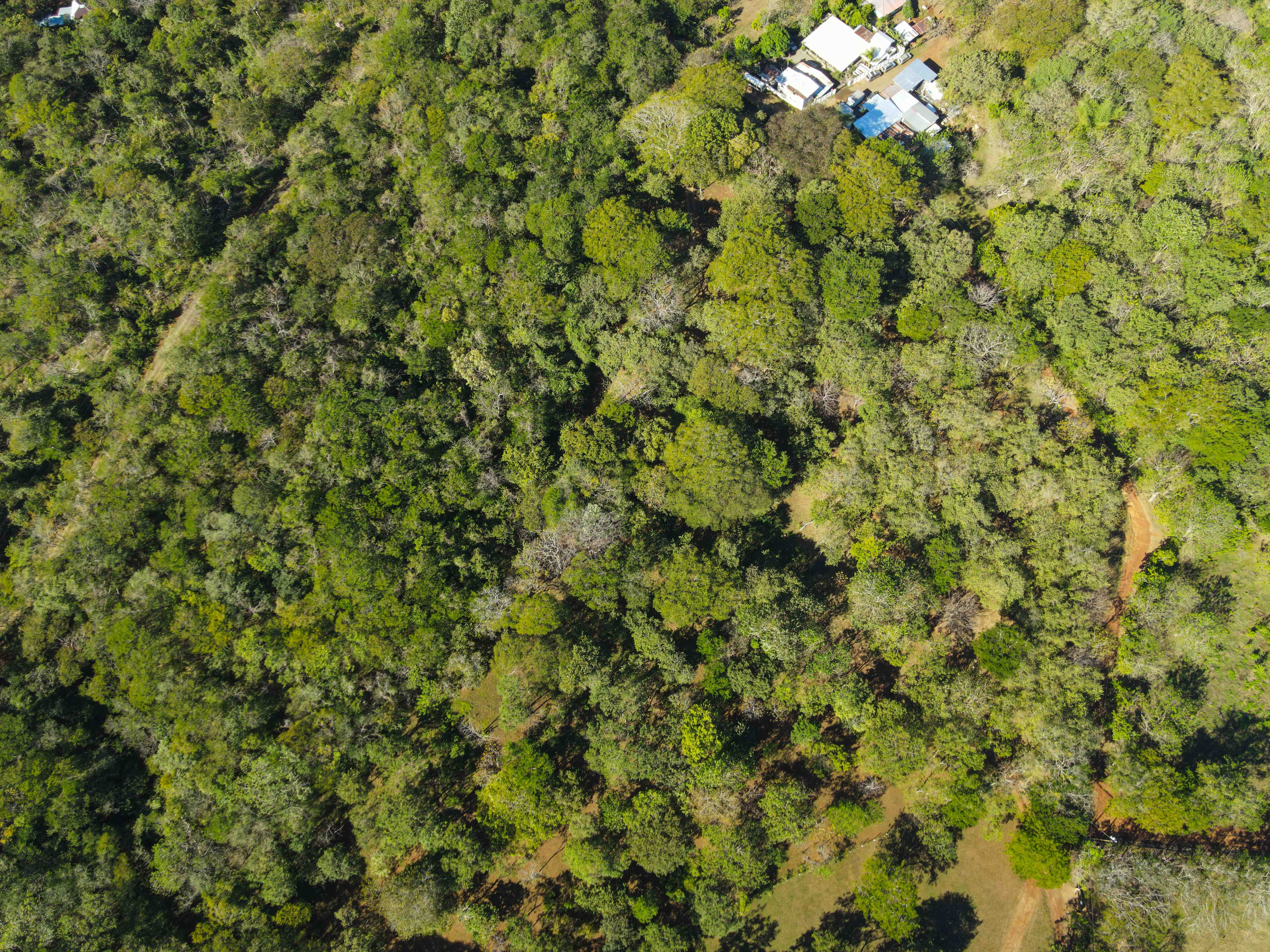 0 bed Land For Sale in Avellanas, Guanacaste - thumb 16