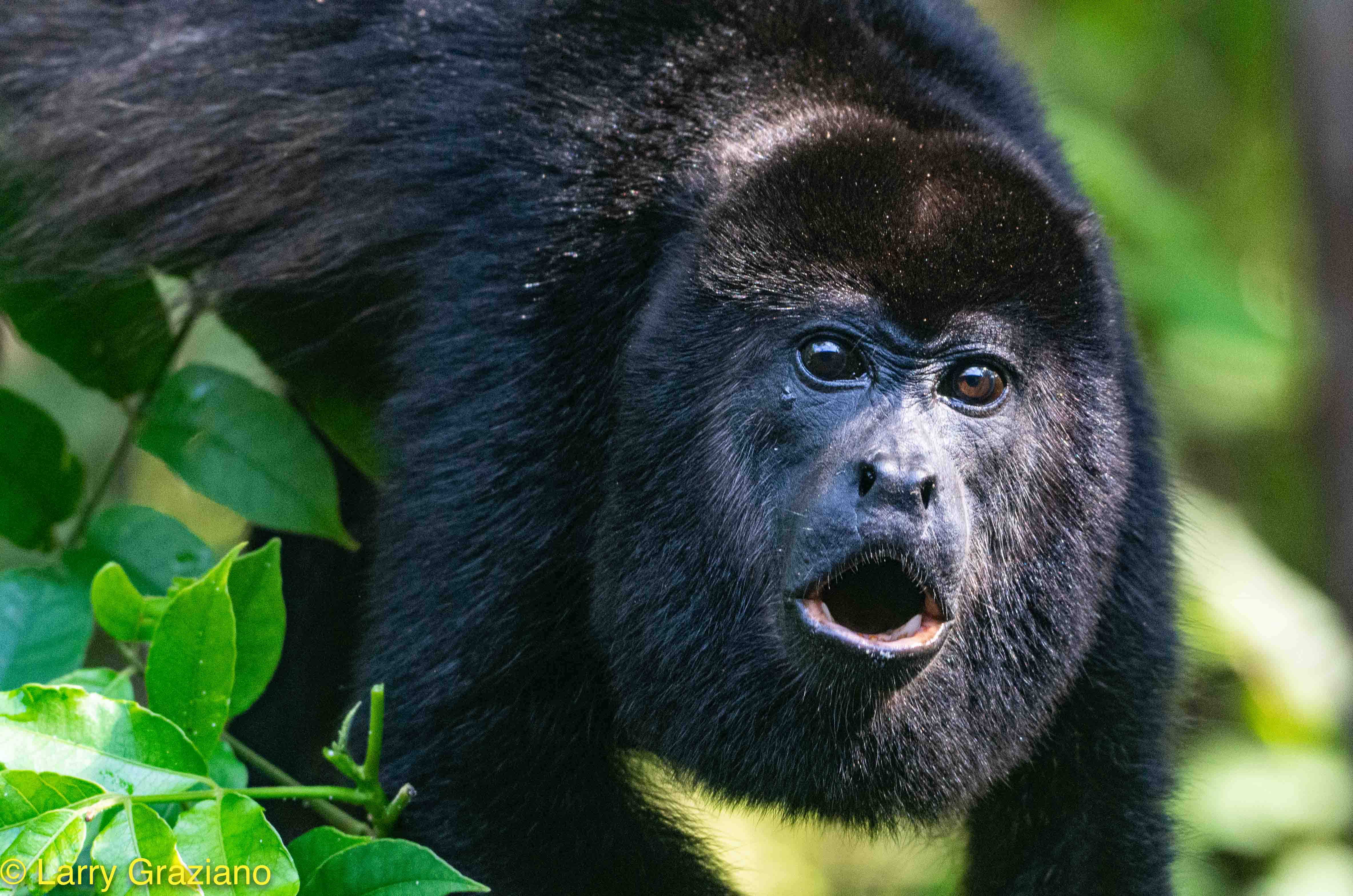 0 bed Land For Sale in Avellanas, Guanacaste - thumb 17