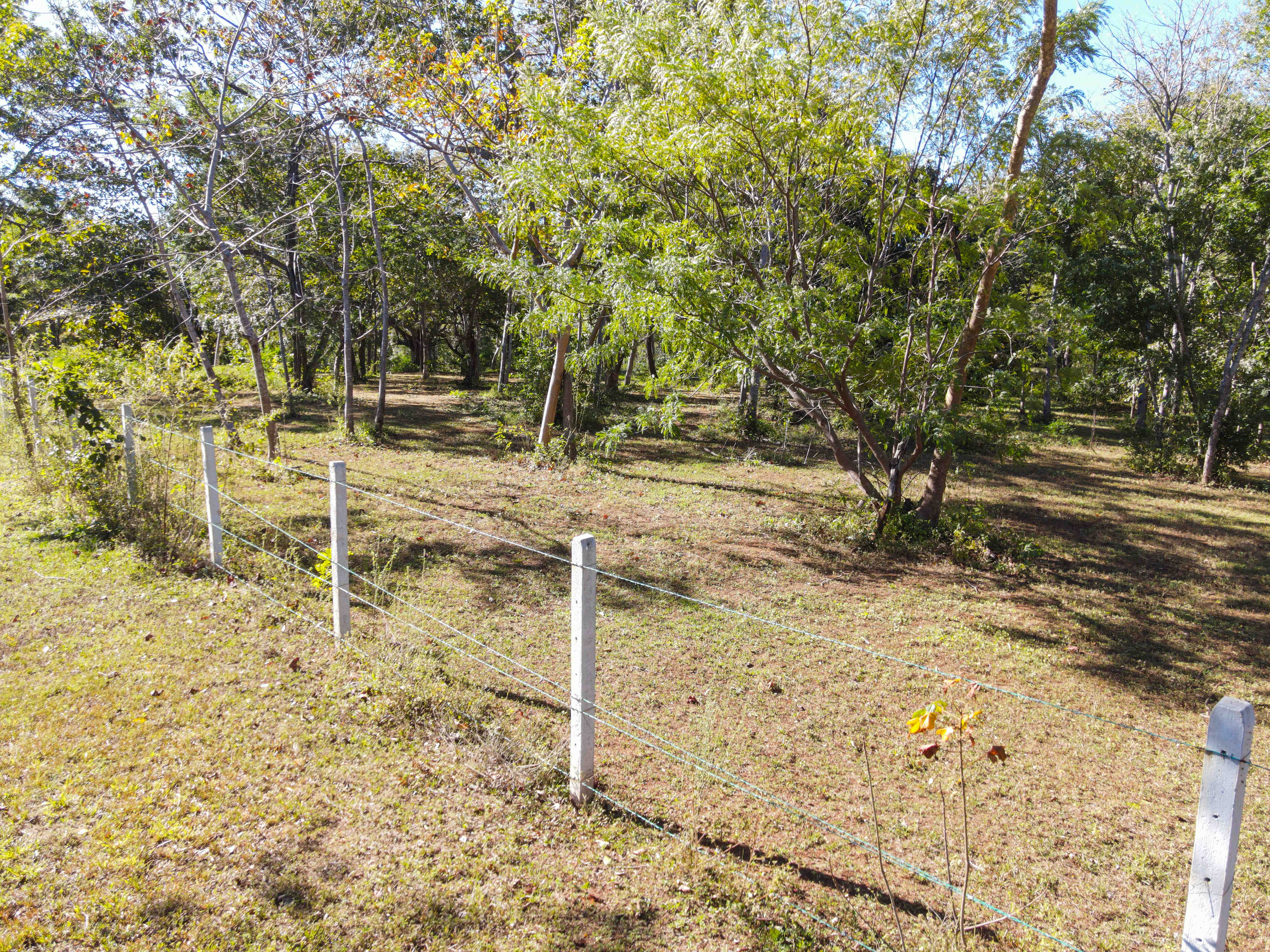 0 bed Land For Sale in Avellanas, Guanacaste - thumb 10