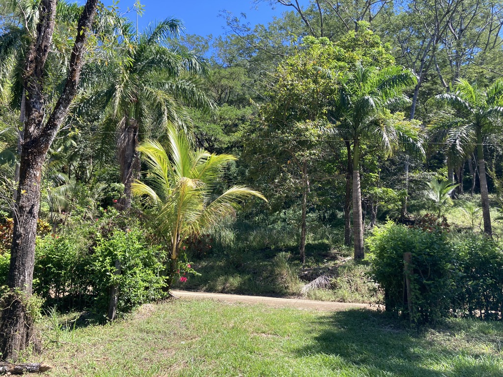 0 bed Land For Sale in Samara, Guanacaste - thumb 9