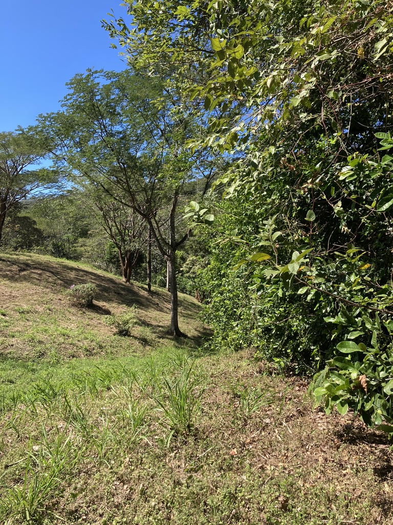 0 bed Land For Sale in Samara, Guanacaste - thumb 8