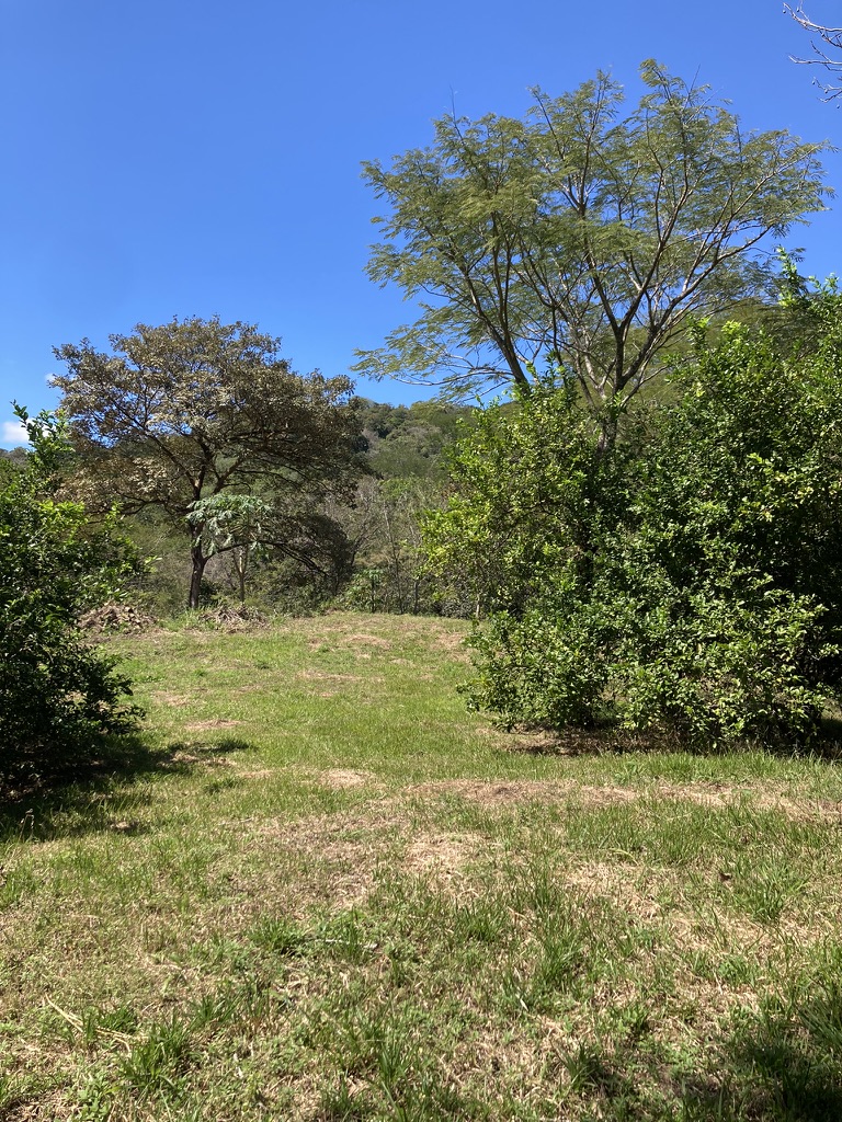 0 bed Land For Sale in Samara, Guanacaste - thumb 6