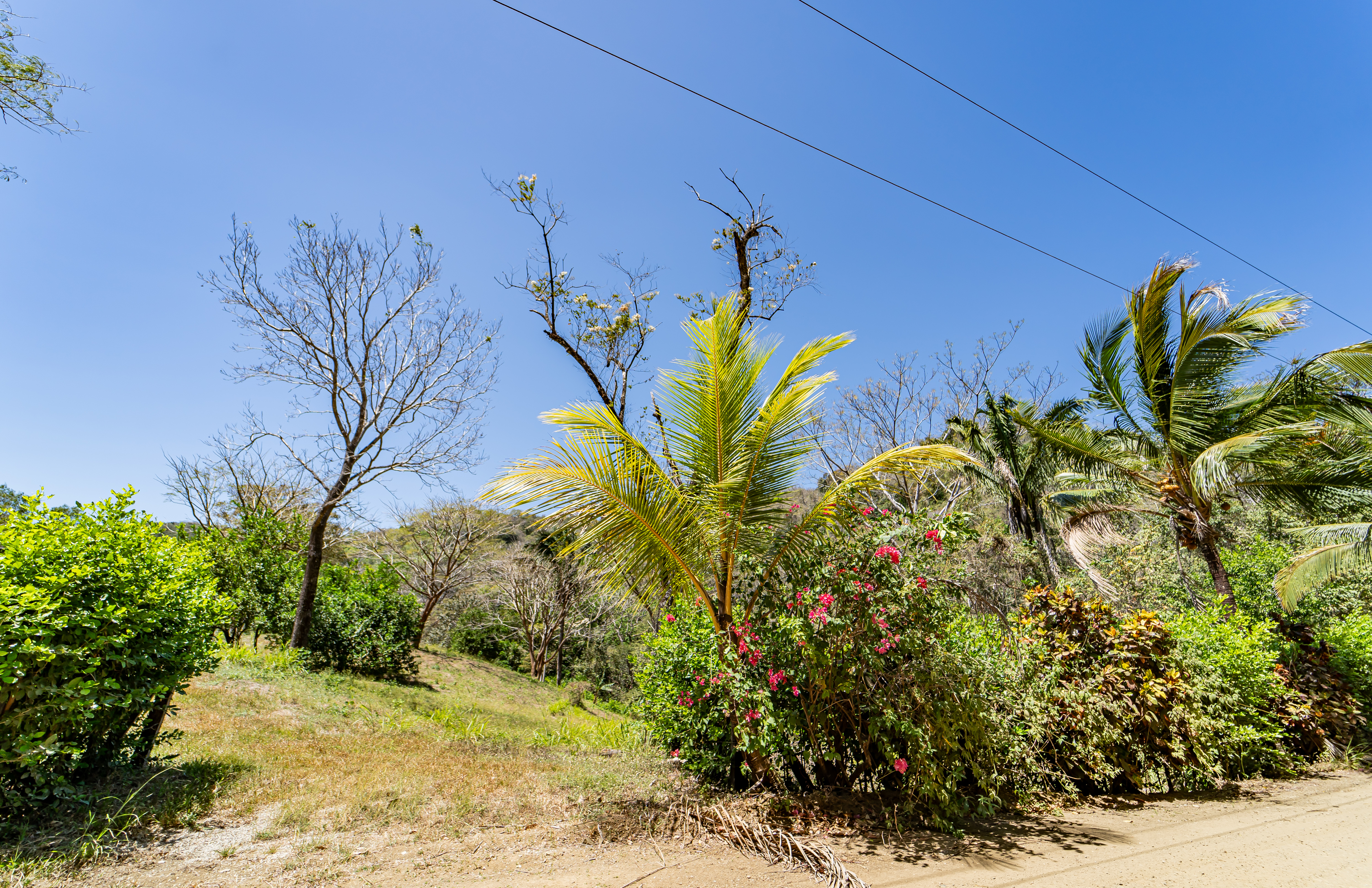 0 bed Land For Sale in Samara, Guanacaste - thumb 13