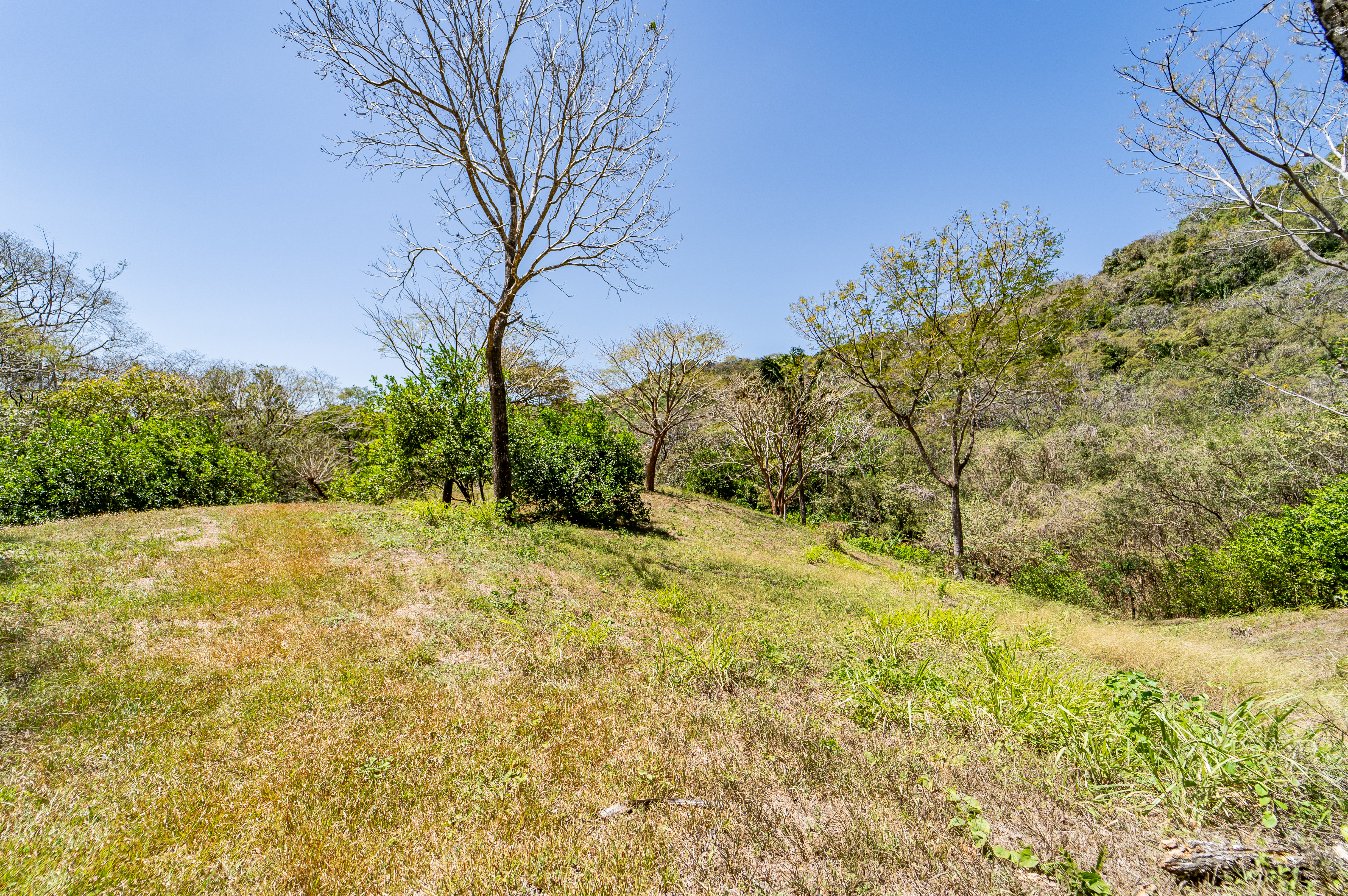 0 bed Land For Sale in Samara, Guanacaste - thumb 3