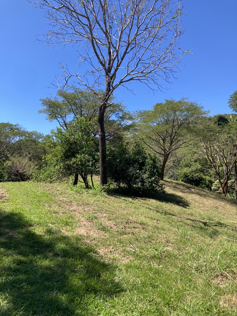 0 bed Land For Sale in Samara, Guanacaste - thumb 7