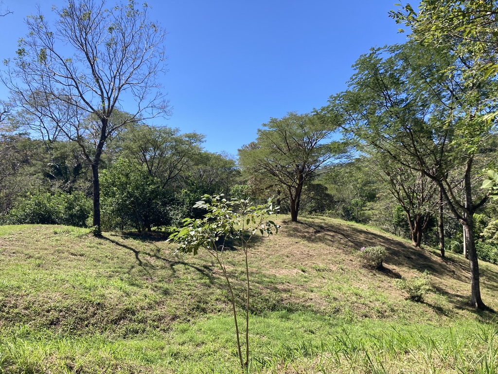 0 bed Land For Sale in Samara, Guanacaste - thumb 5