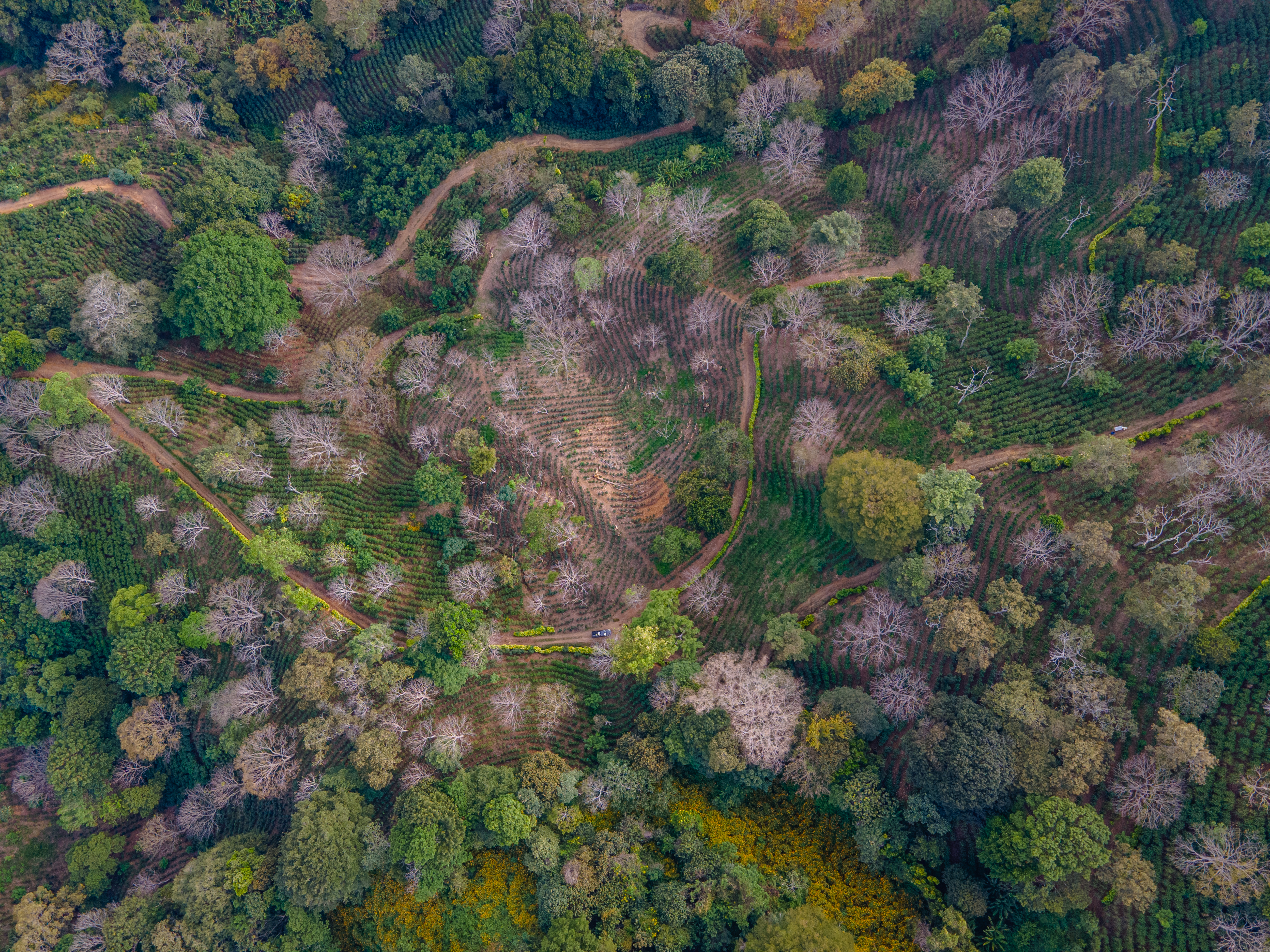 0 bed Land For Sale in Atenas, Alajuela - thumb 3