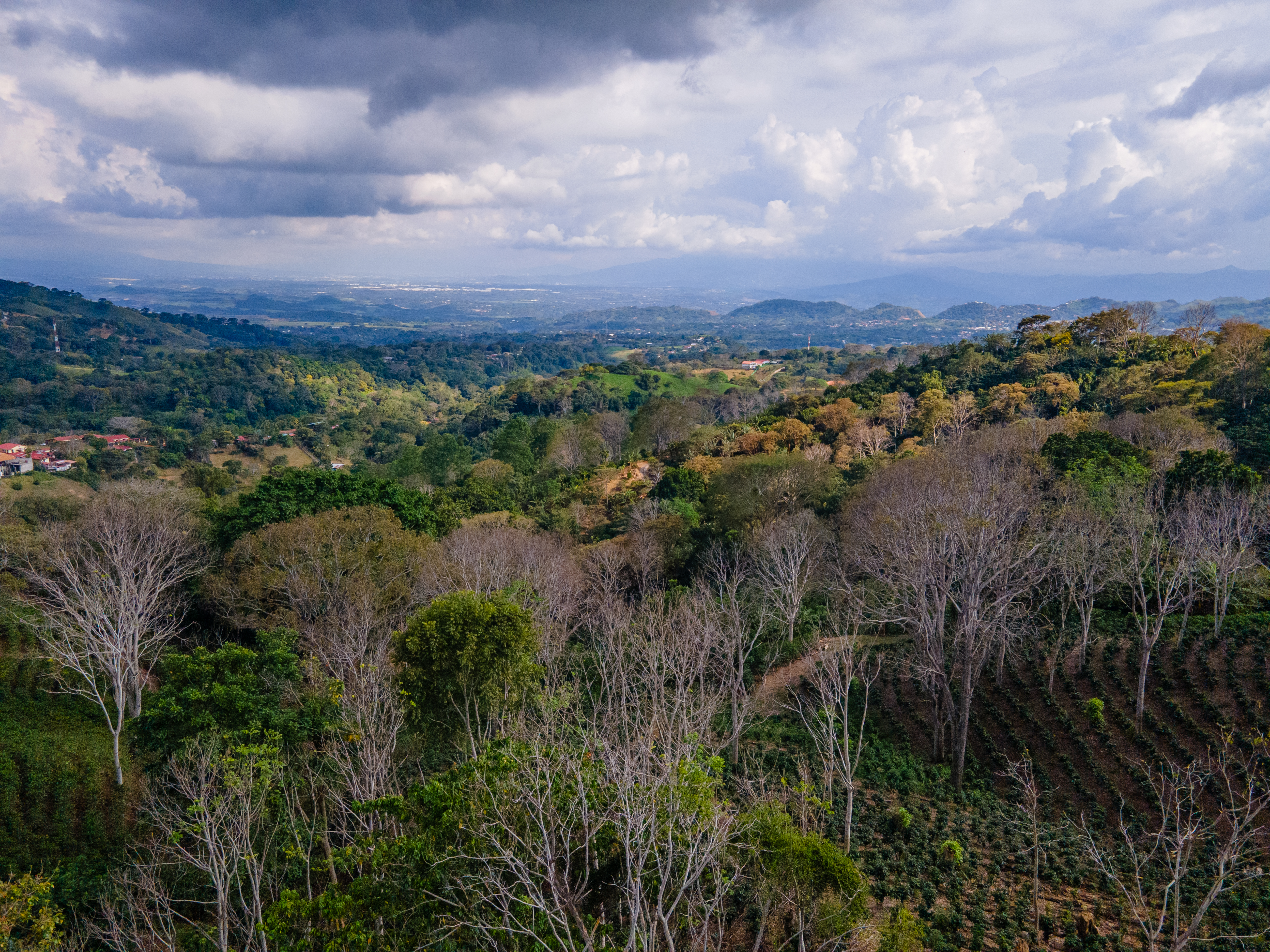 0 bed Land For Sale in Atenas, Alajuela - thumb 6