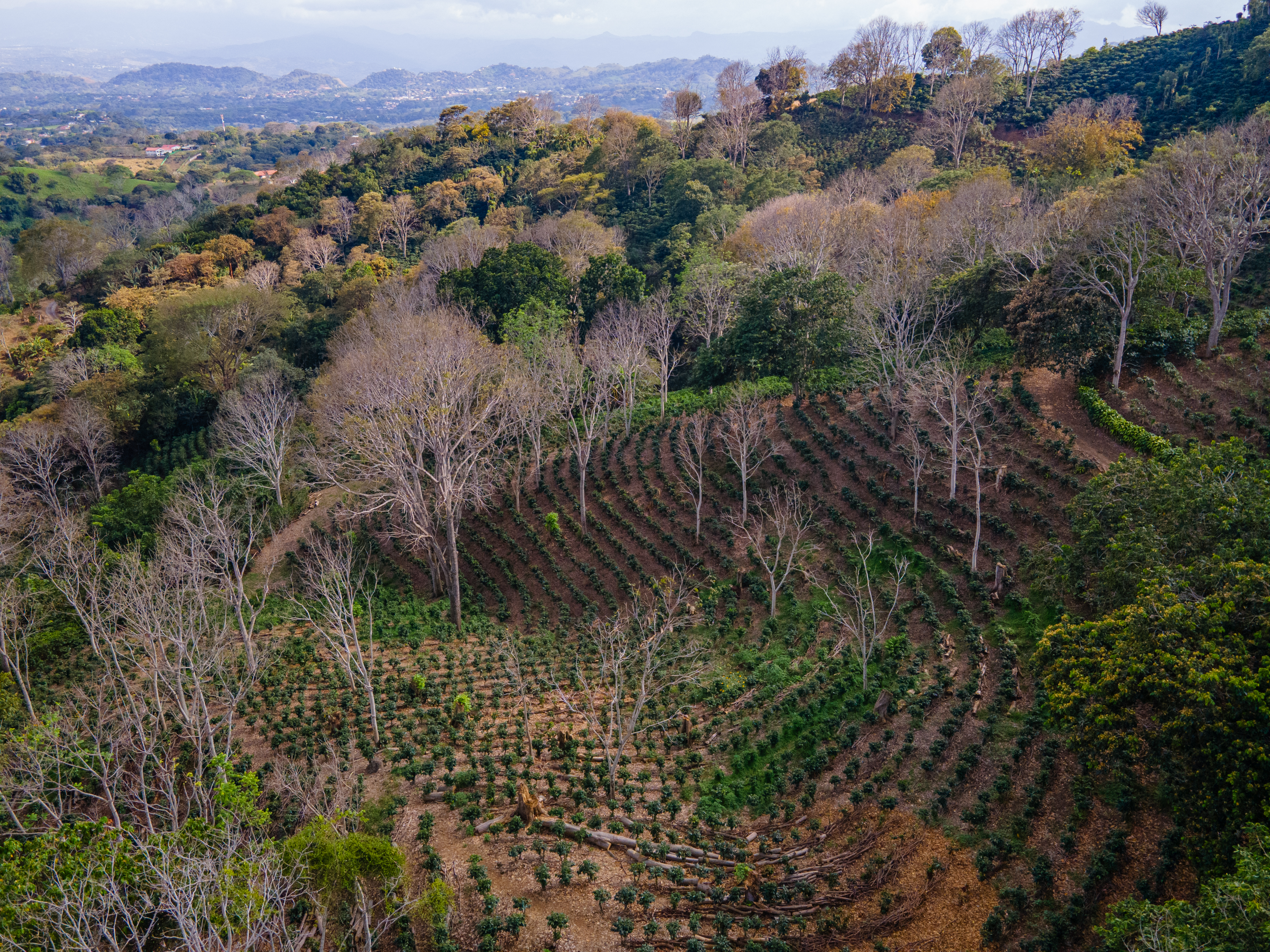 0 bed Land For Sale in Atenas, Alajuela - thumb 4