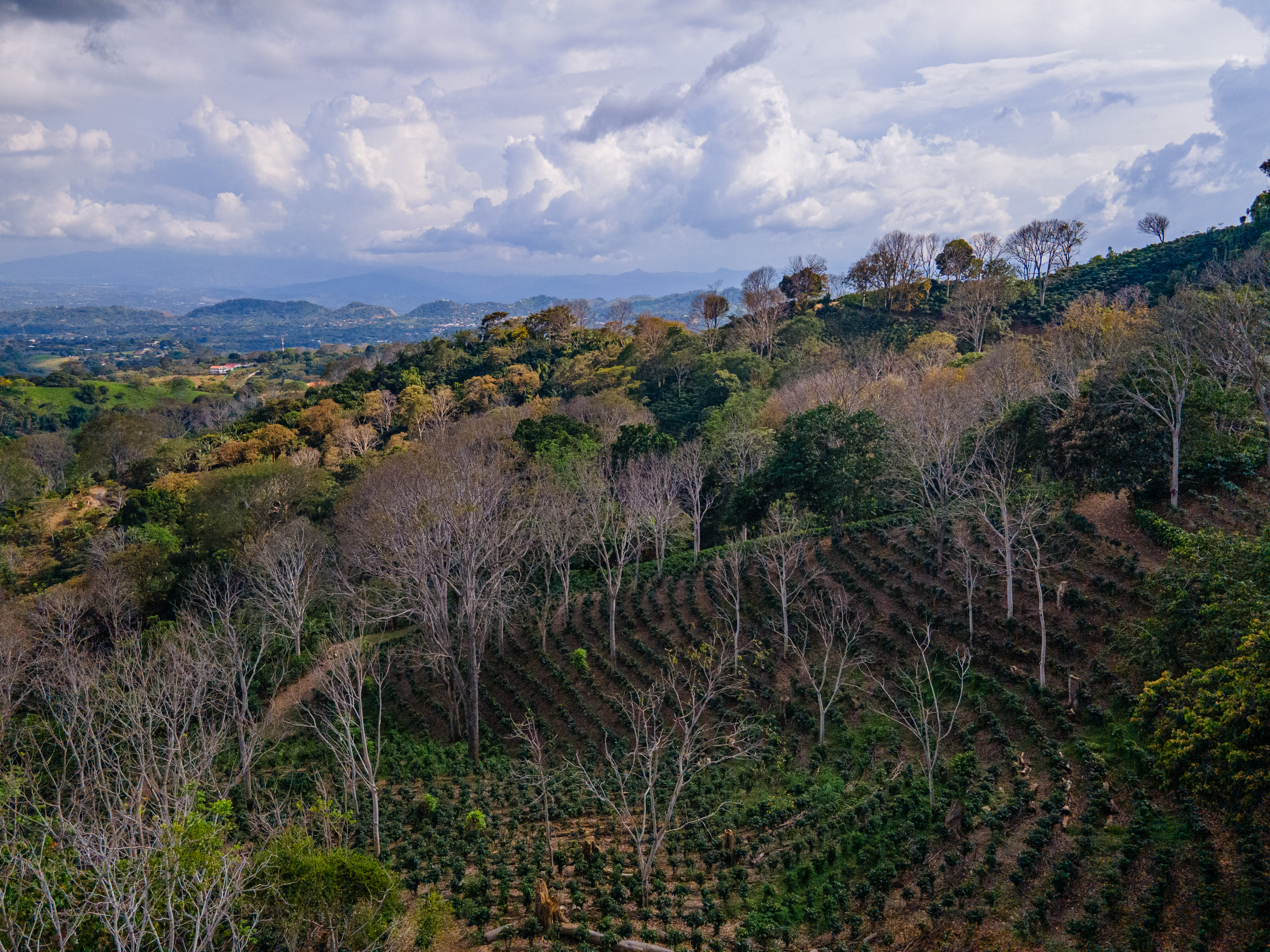 0 bed Land For Sale in Atenas, Alajuela - thumb 5