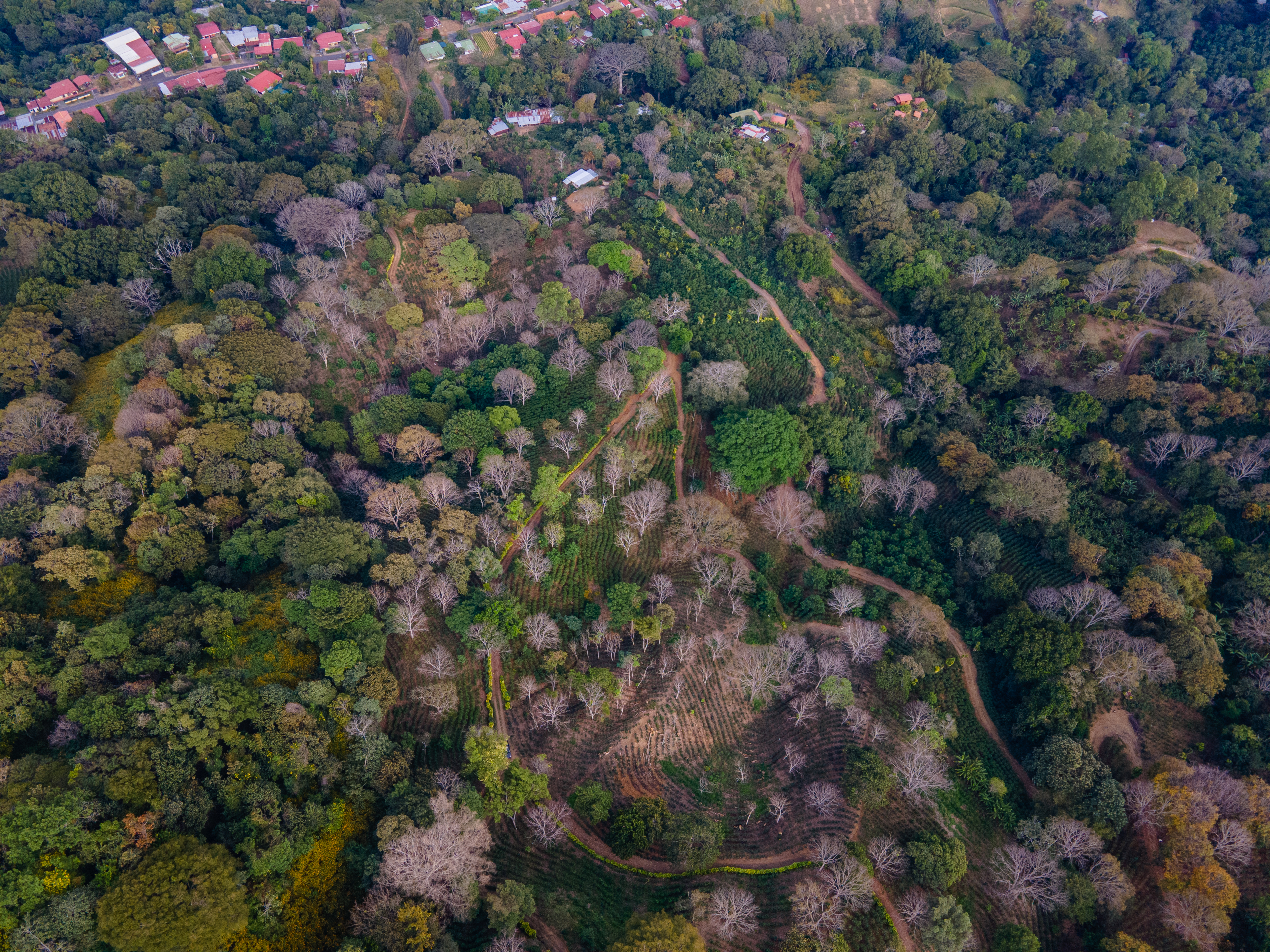 0 bed Land For Sale in Atenas, Alajuela - thumb 2