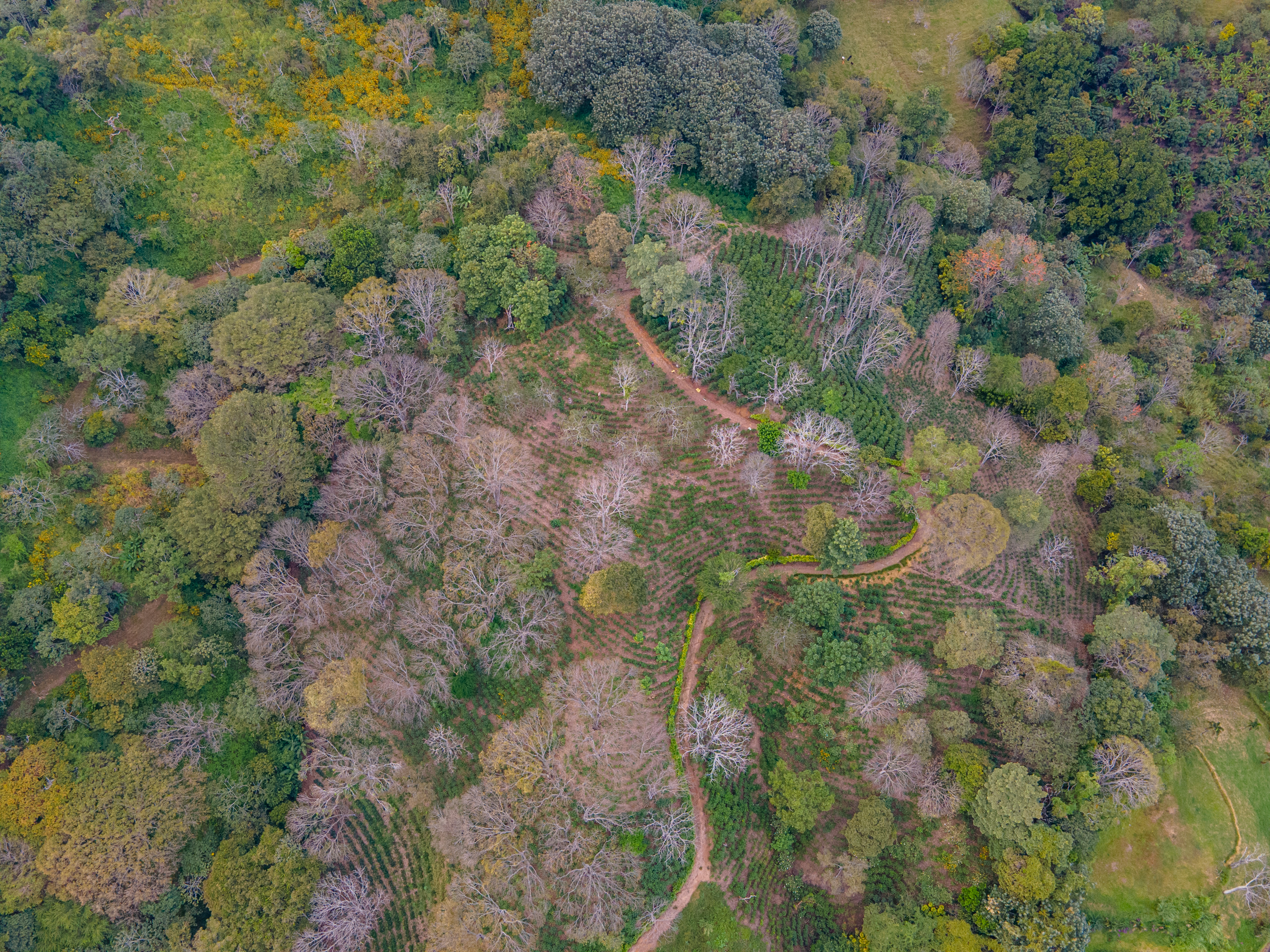 0 bed Land For Sale in Atenas, Alajuela - thumb 6