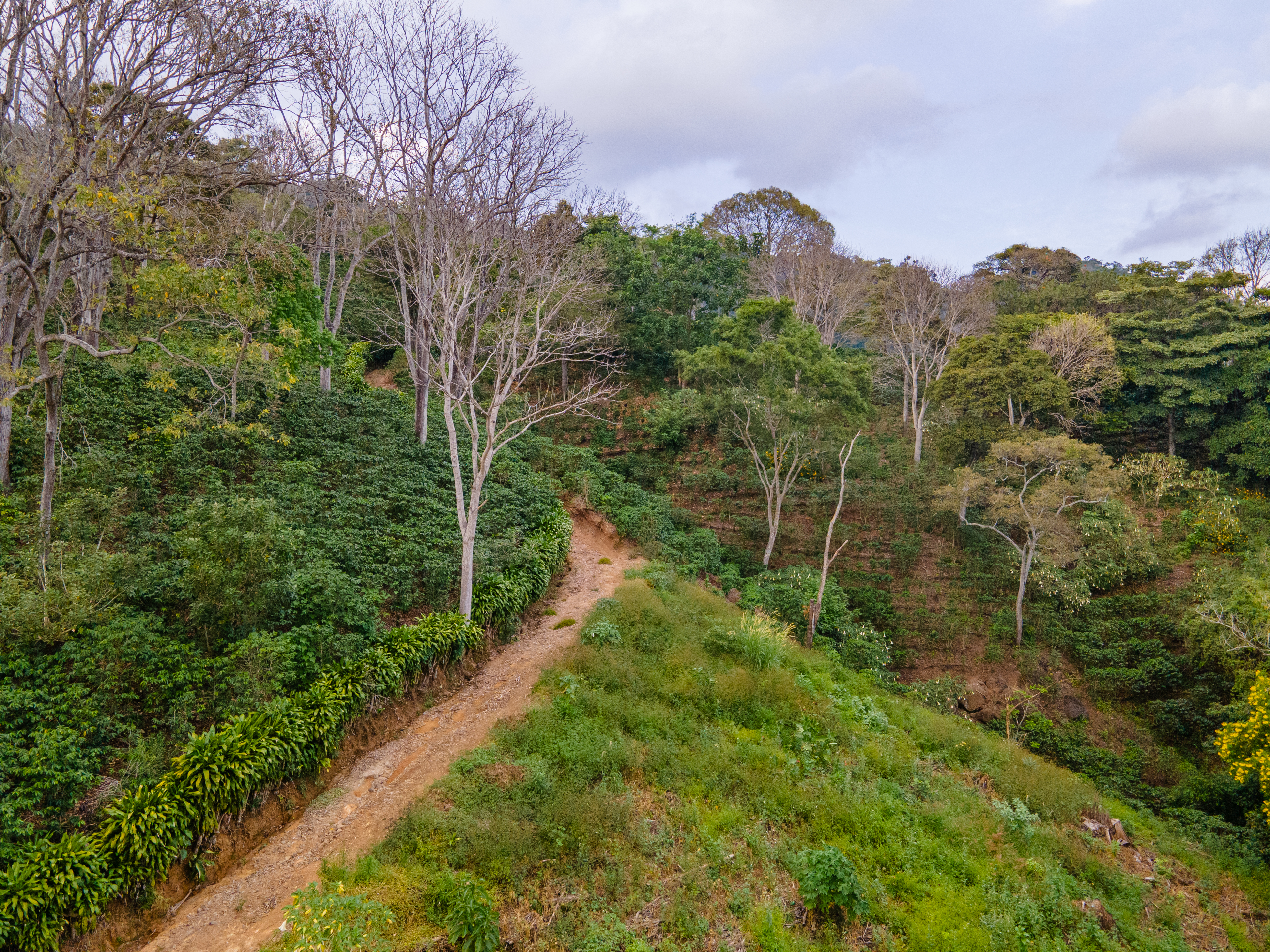 0 bed Land For Sale in Atenas, Alajuela - thumb 2