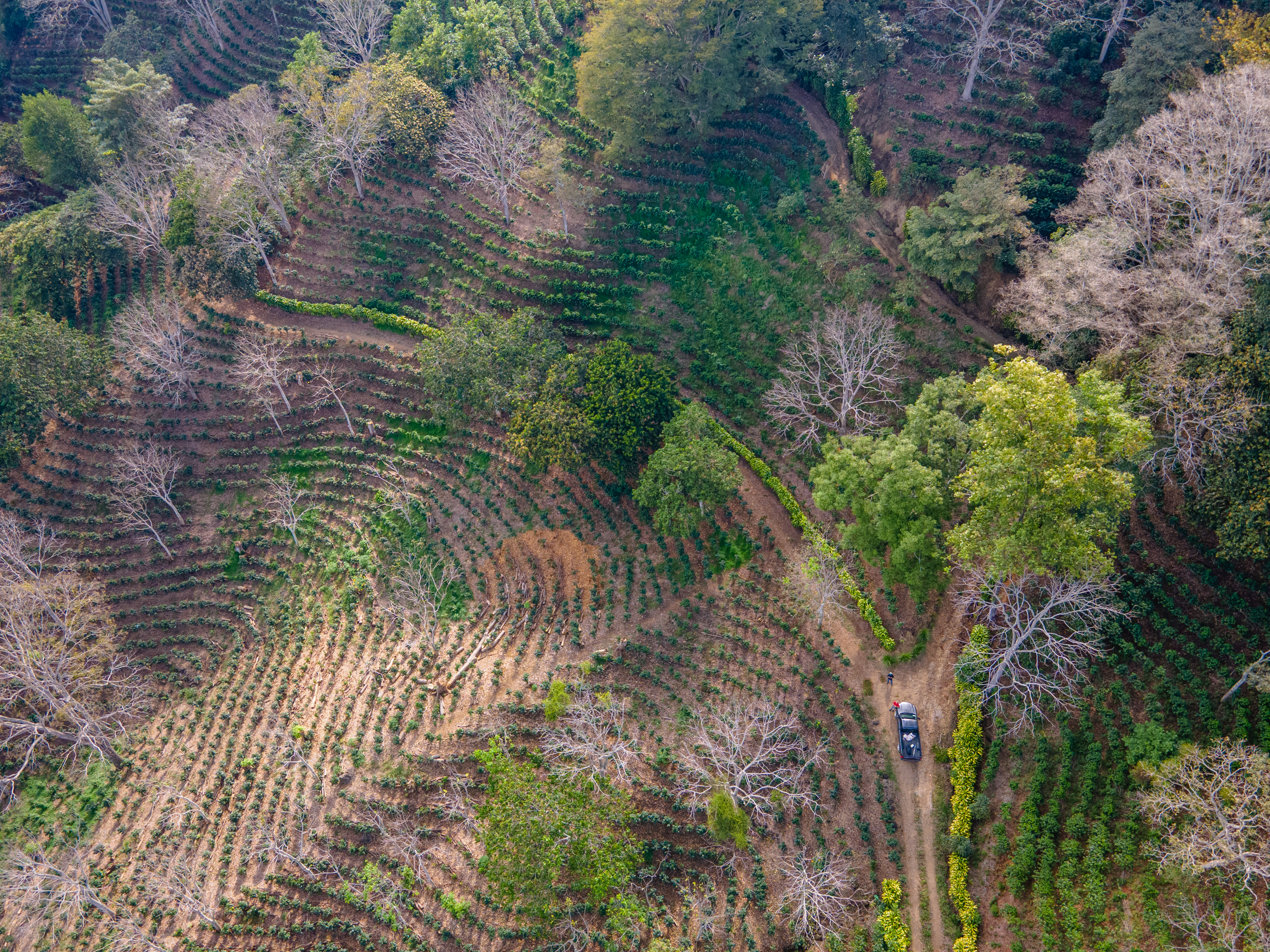 0 bed Land For Sale in Atenas, Alajuela - thumb 1