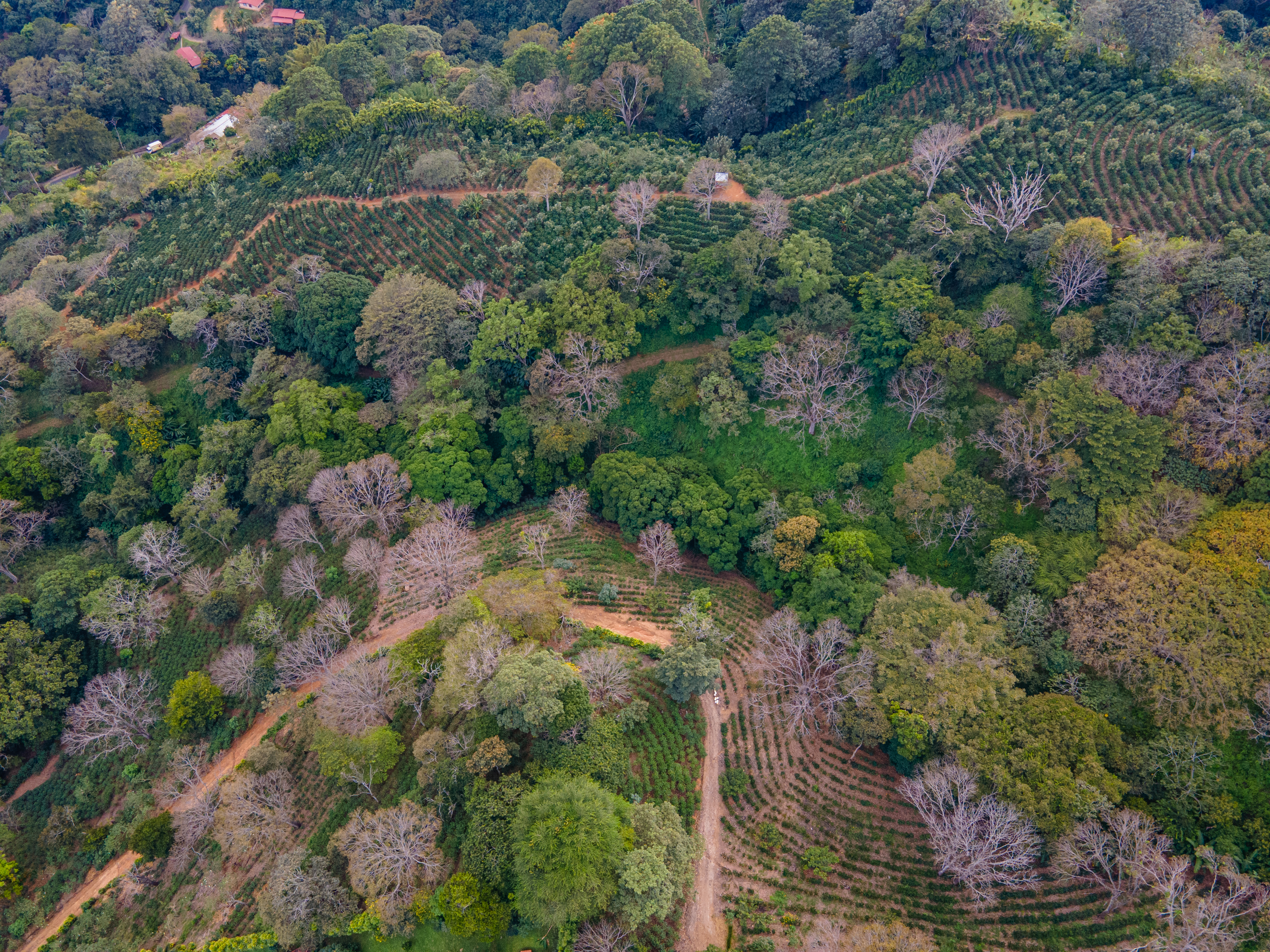 0 bed Land For Sale in Atenas, Alajuela - thumb 8