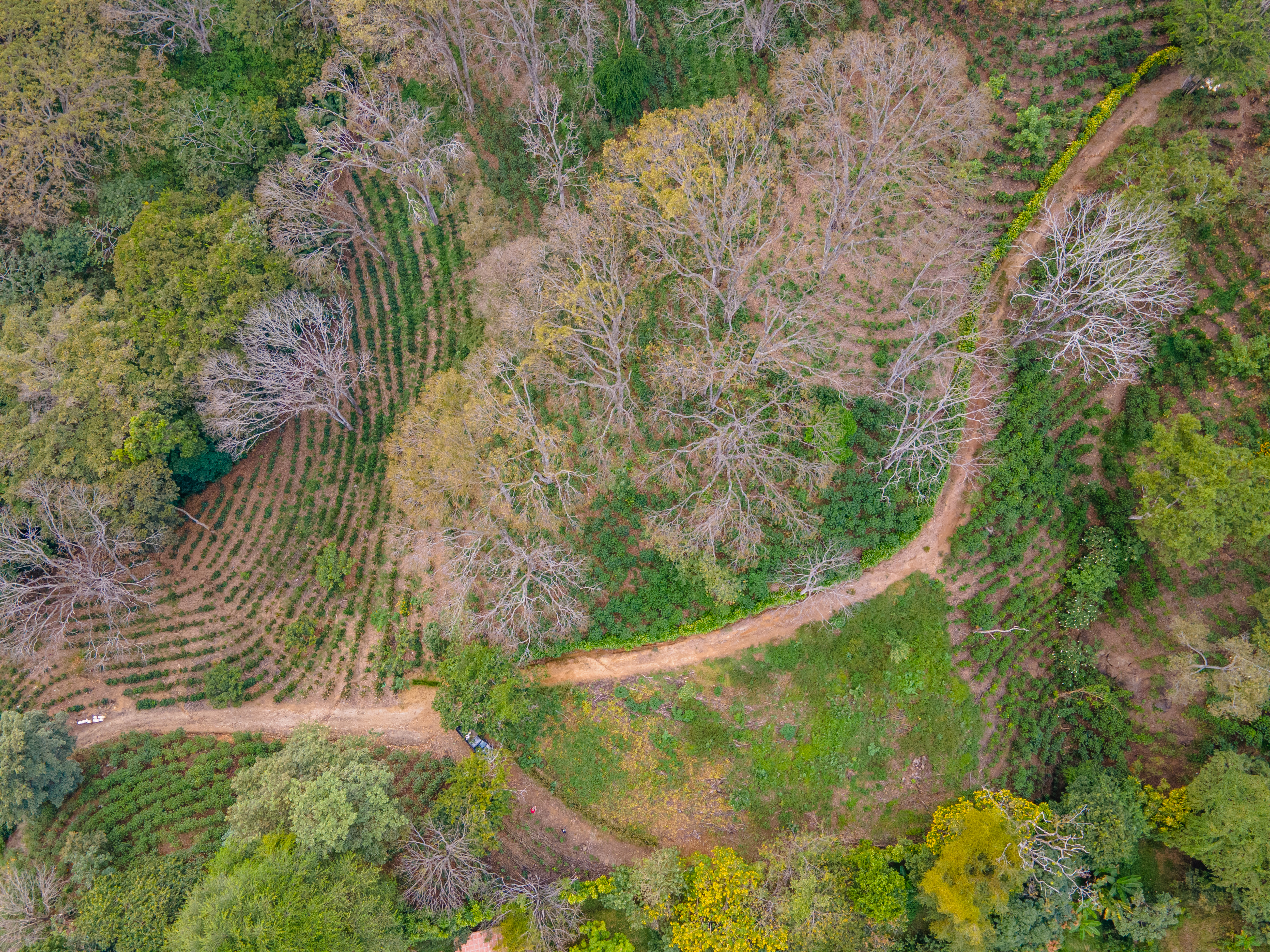 0 bed Land For Sale in Atenas, Alajuela - thumb 4