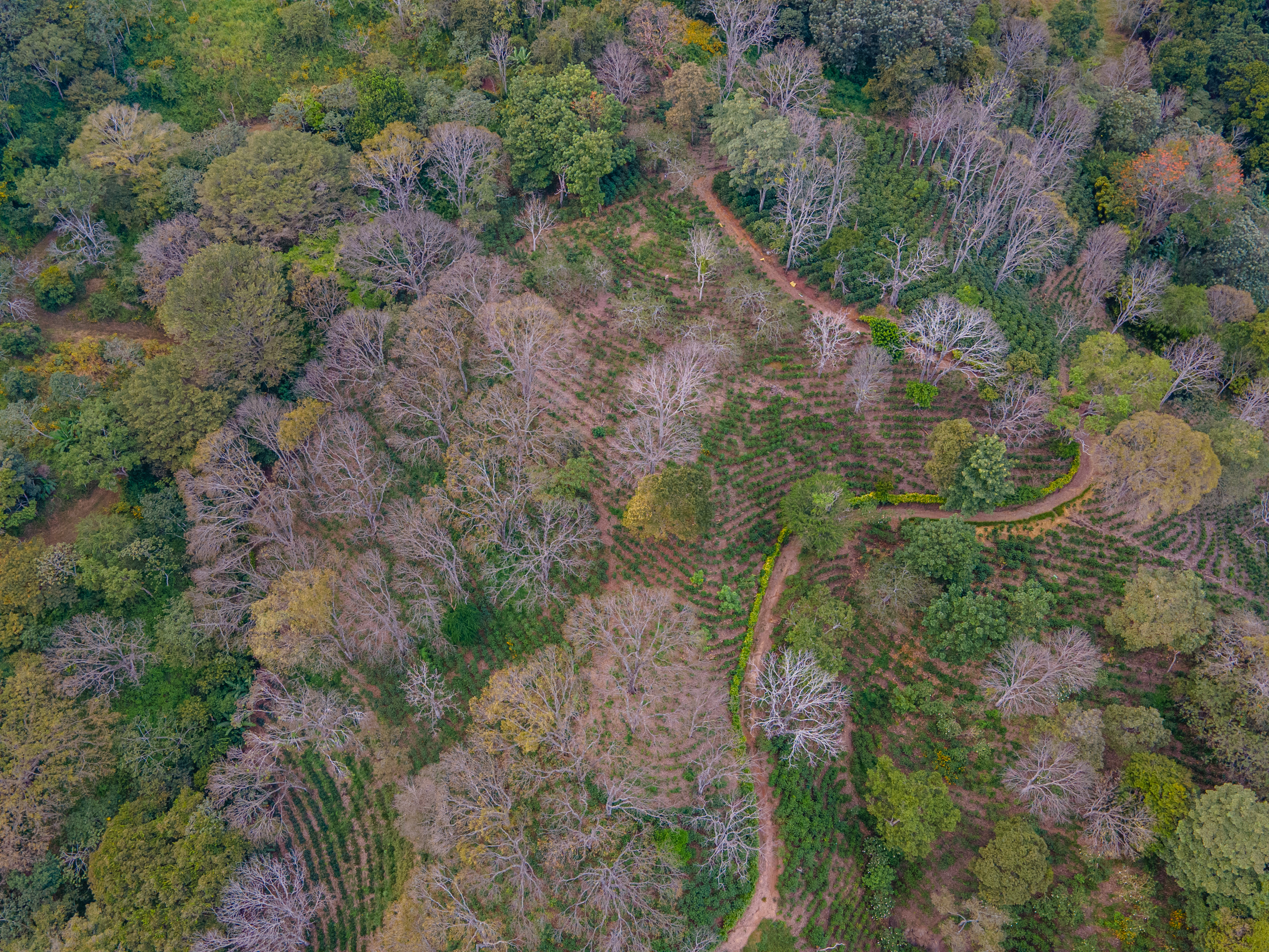 0 bed Land For Sale in Atenas, Alajuela - thumb 5