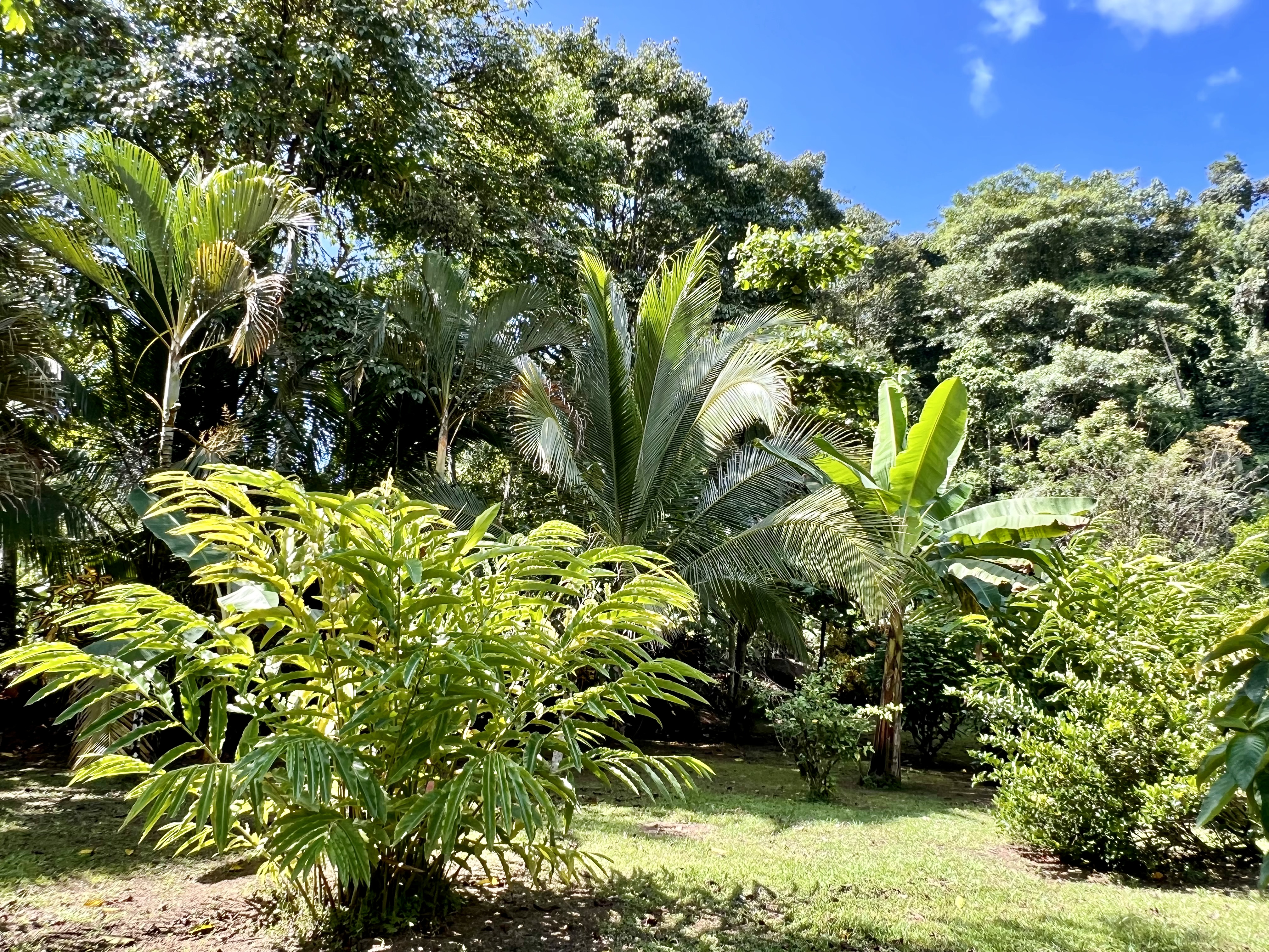 5 bed Land For Sale in Ojochal, Puntarenas - thumb 28