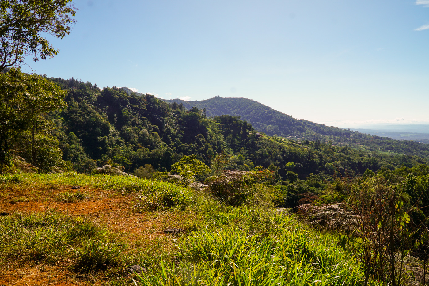 0 bed Land For Sale in Perez Zeledon, San Jose - thumb 15