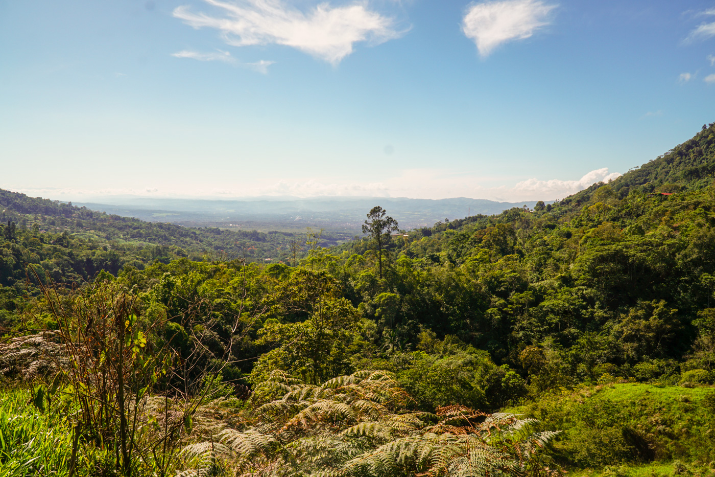 0 bed Land For Sale in Perez Zeledon, San Jose - thumb 16